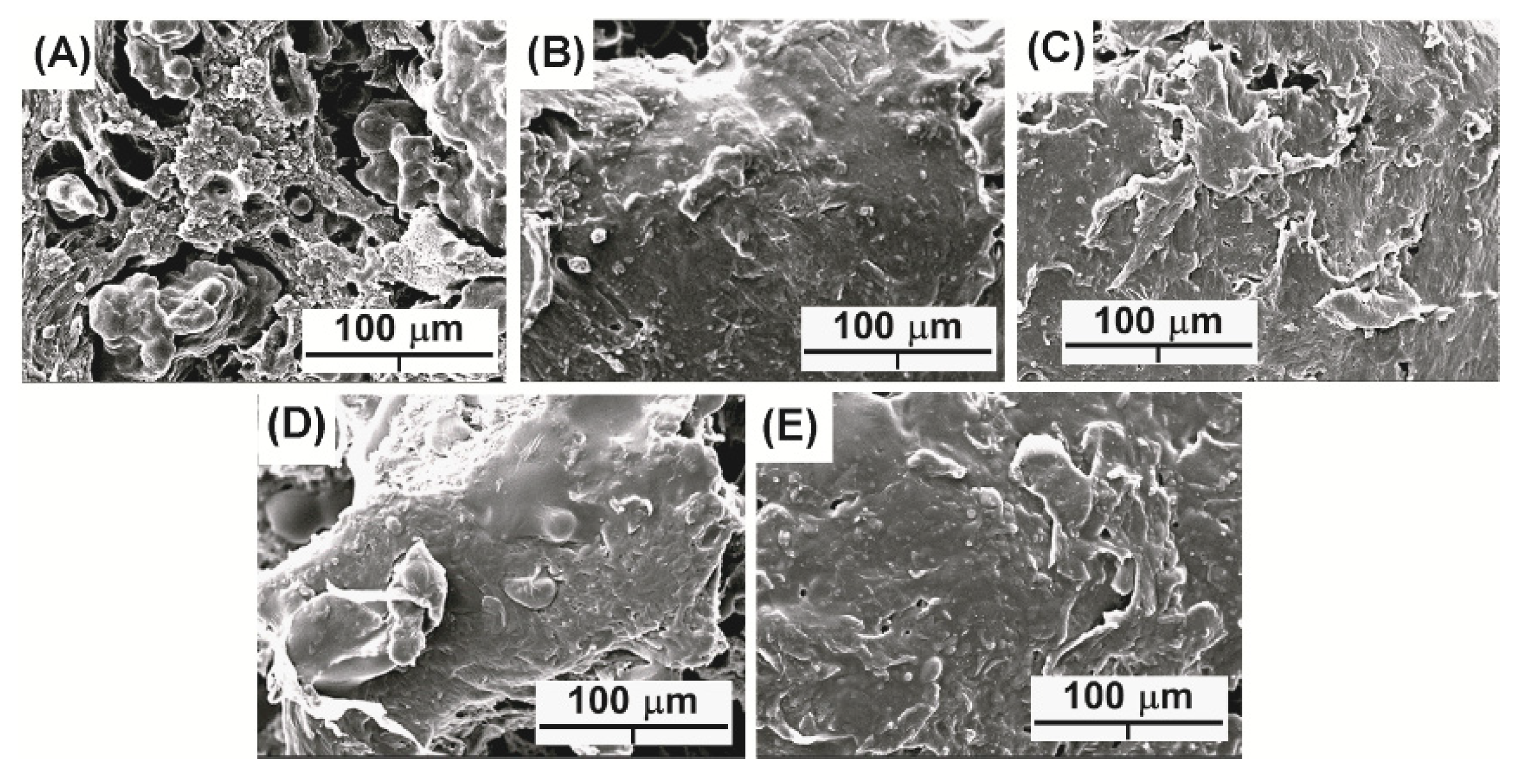 Polymers 14 00825 g005
