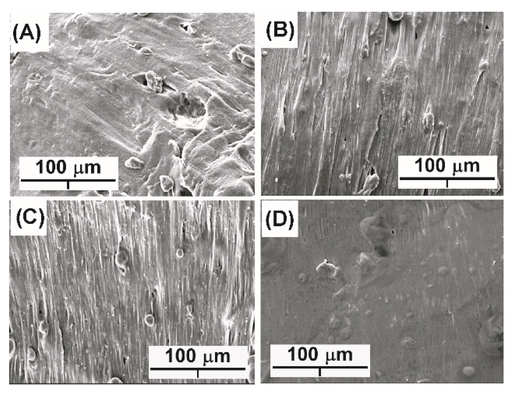 Polymers 14 00825 g006