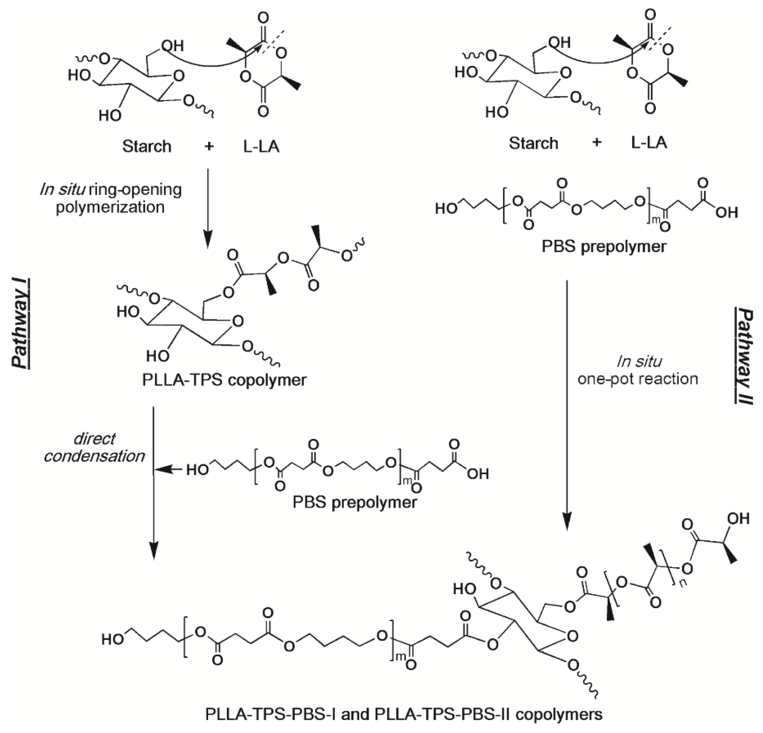 Polymers 14 00825 sch002