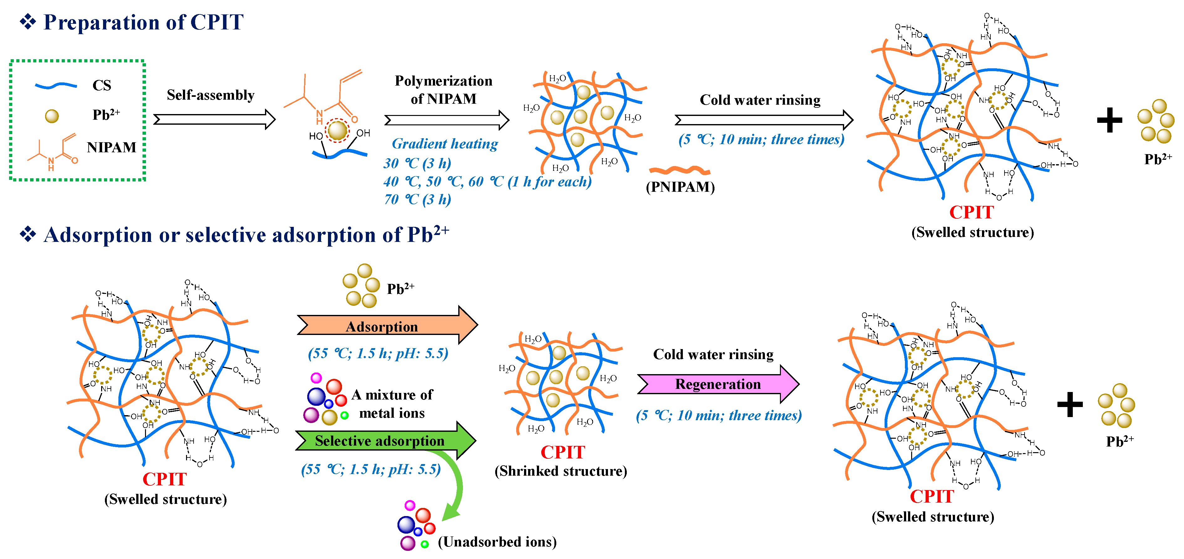 Polymers 14 00828 g001
