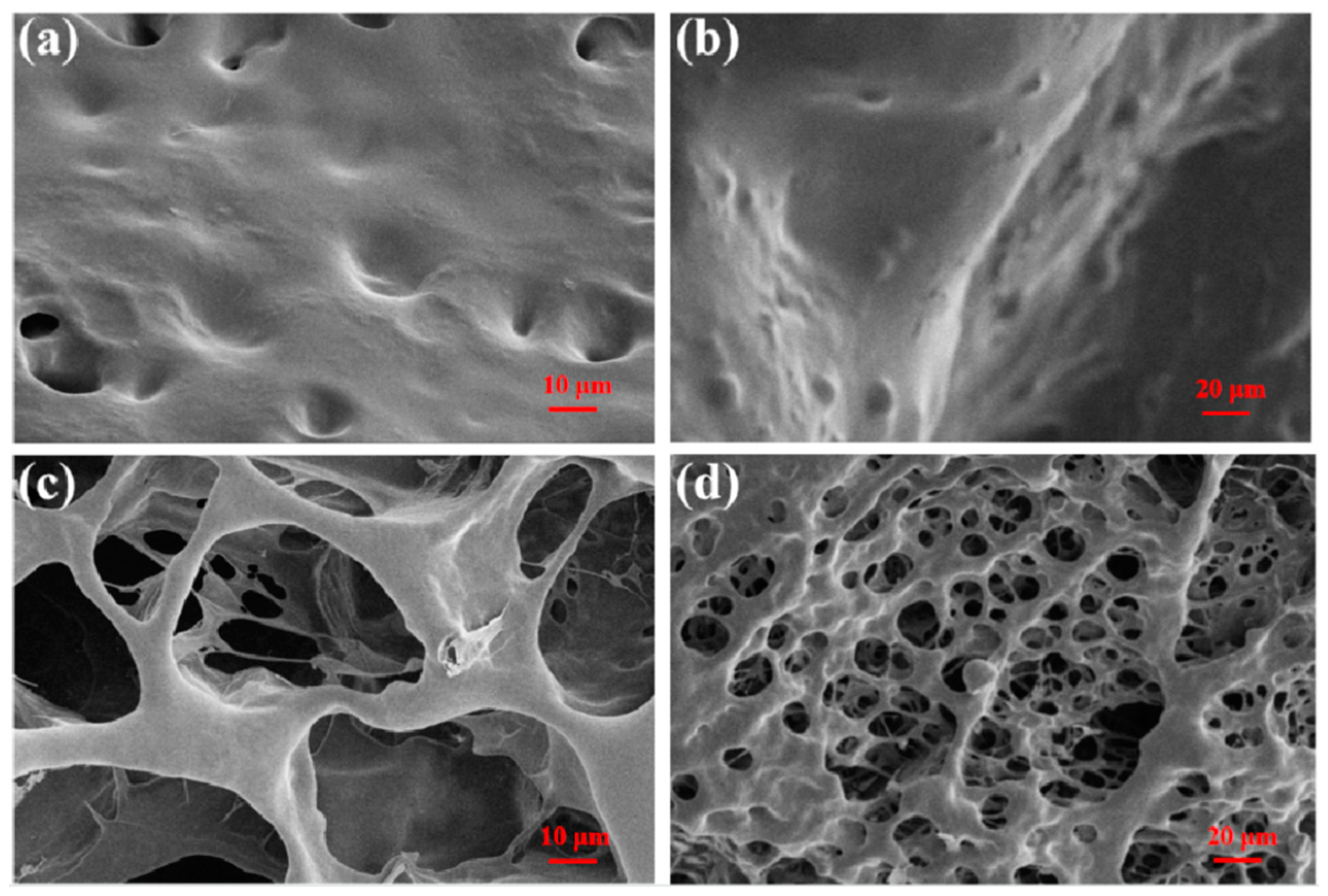 Polymers 14 00828 g003