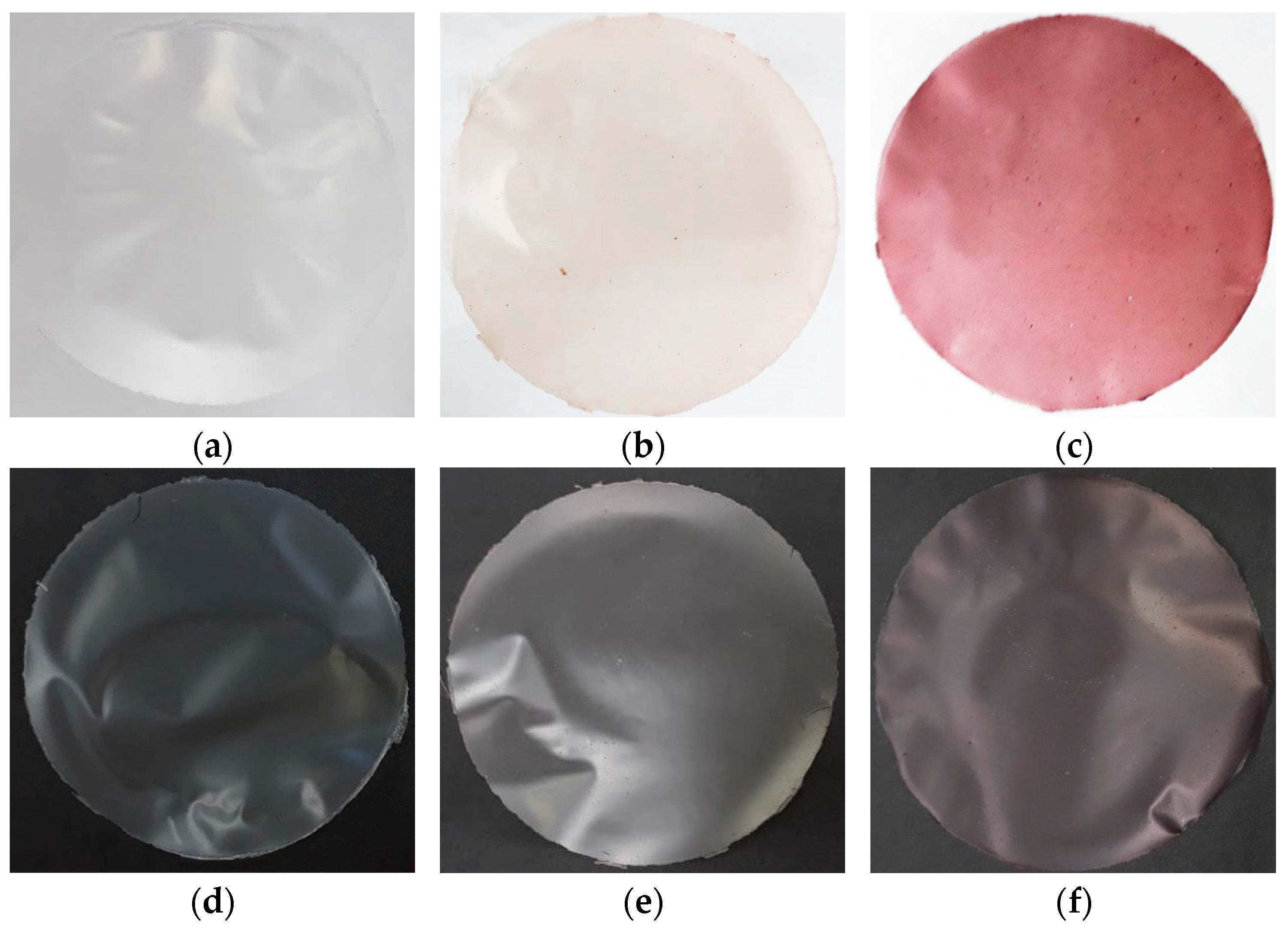 Polymers 14 00835 g001