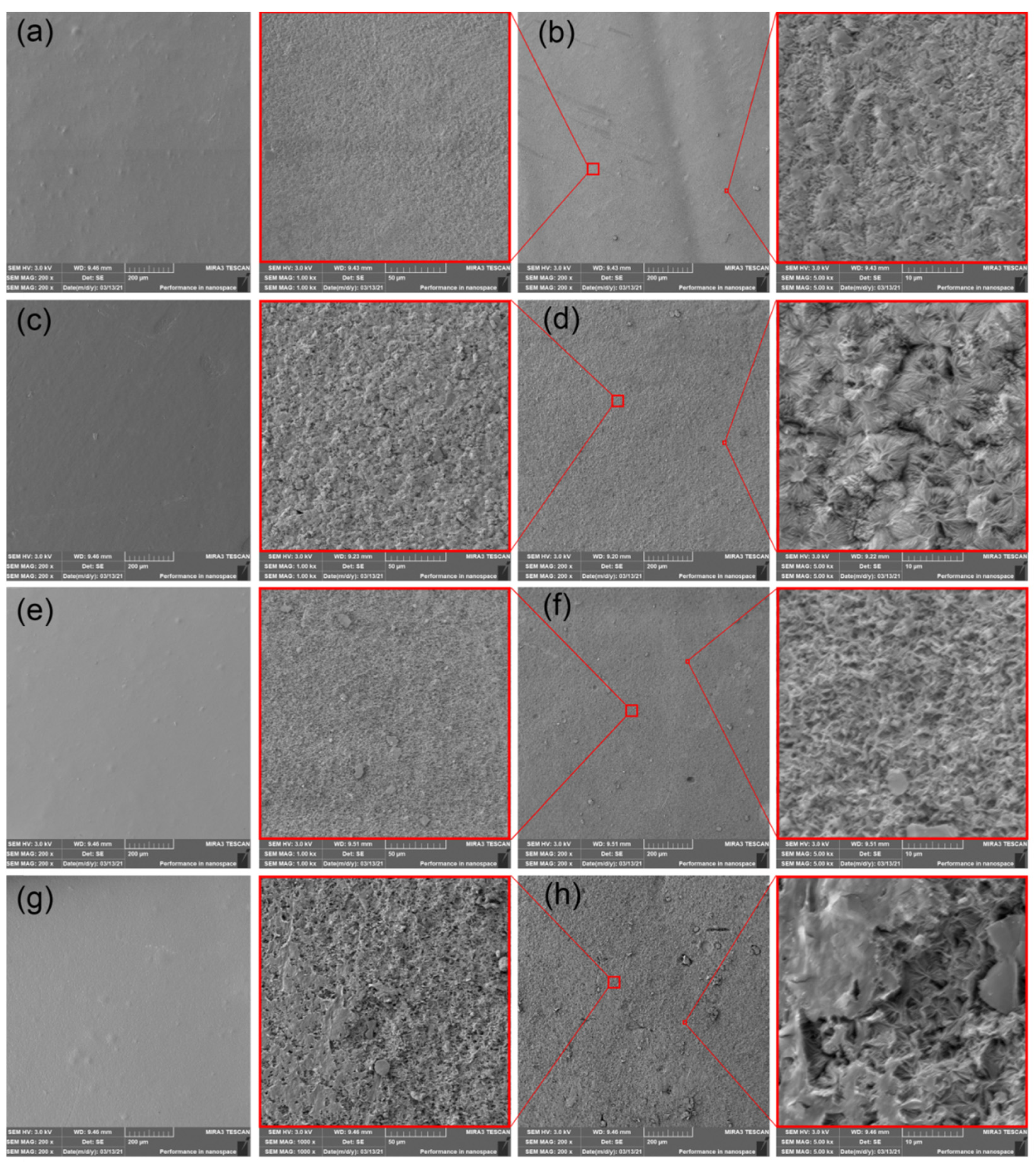 Polymers 14 00838 g005
