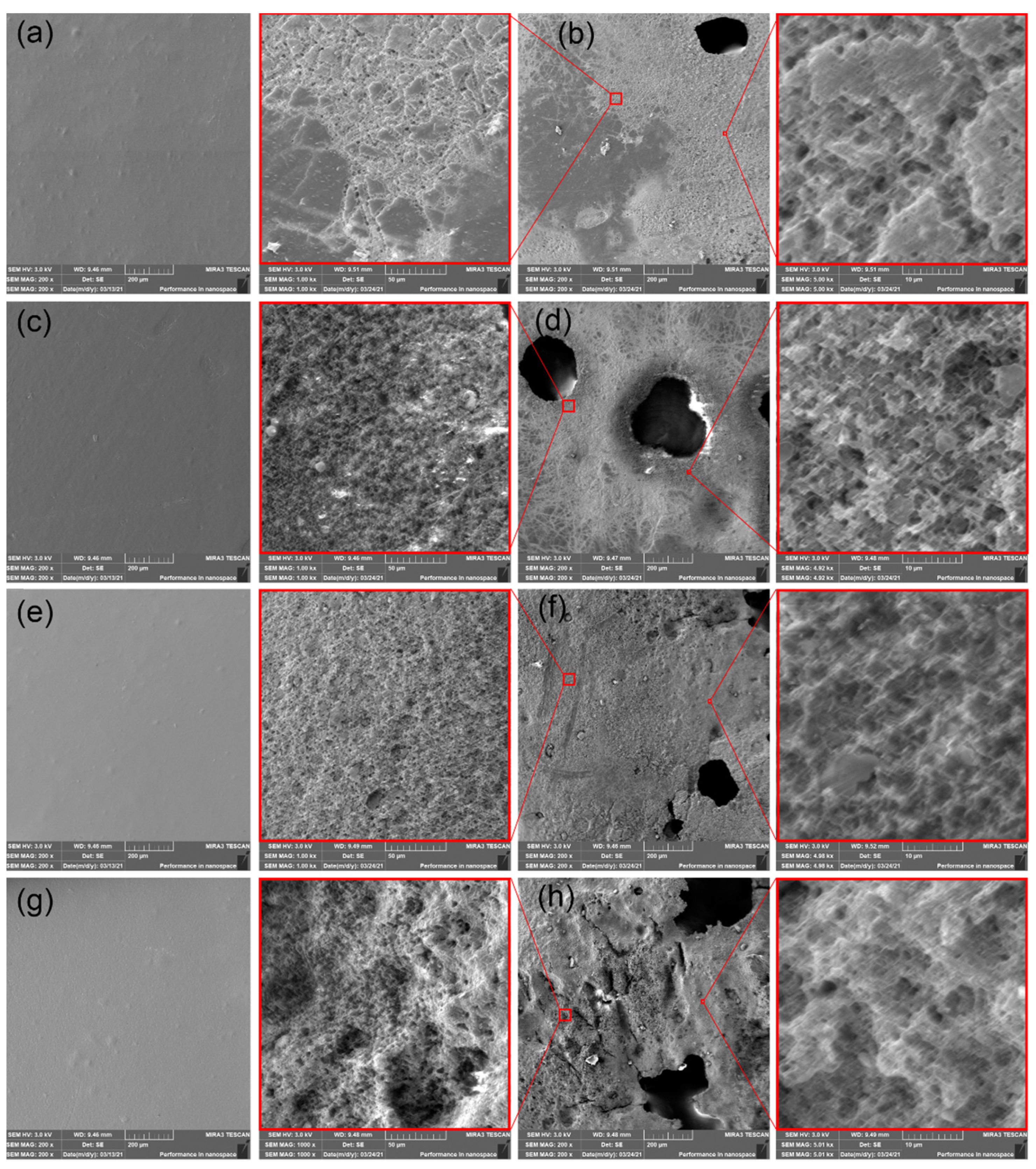 Polymers 14 00838 g007