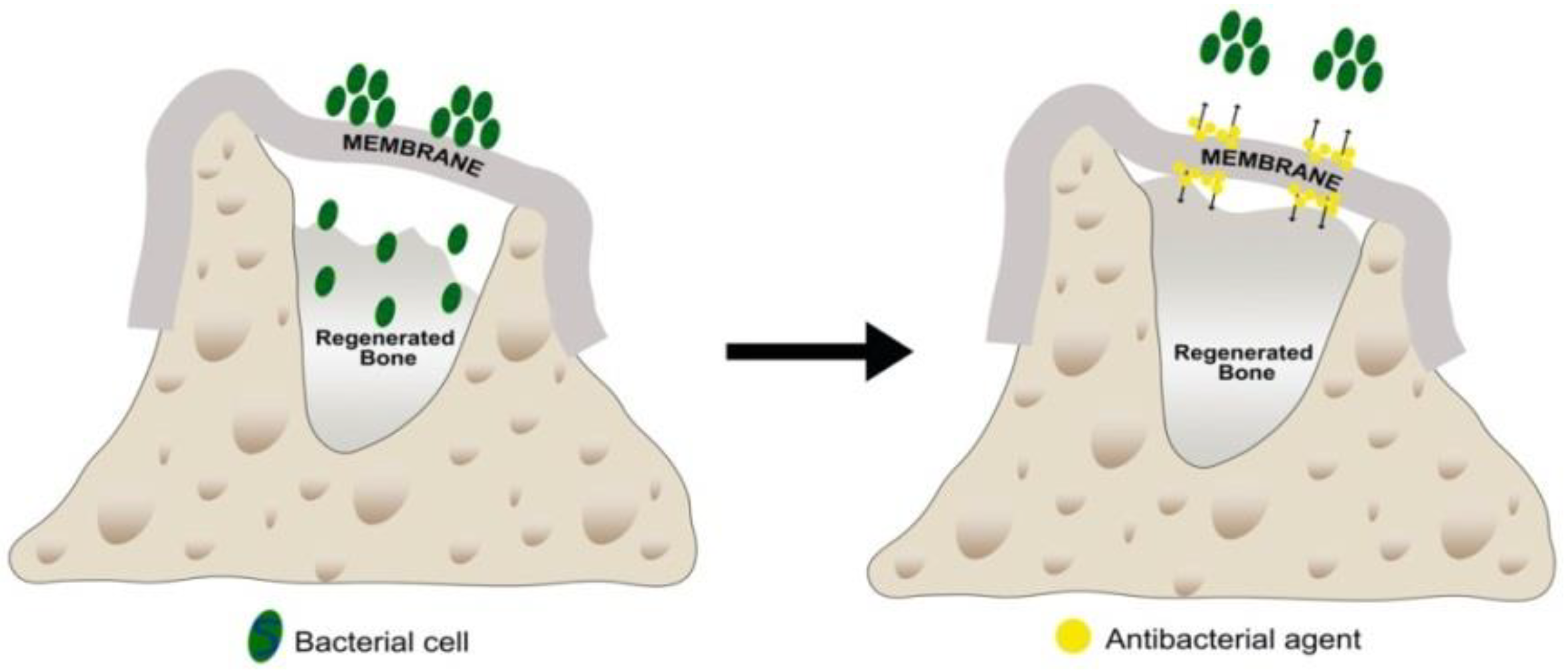 Polymers 14 00840 g001