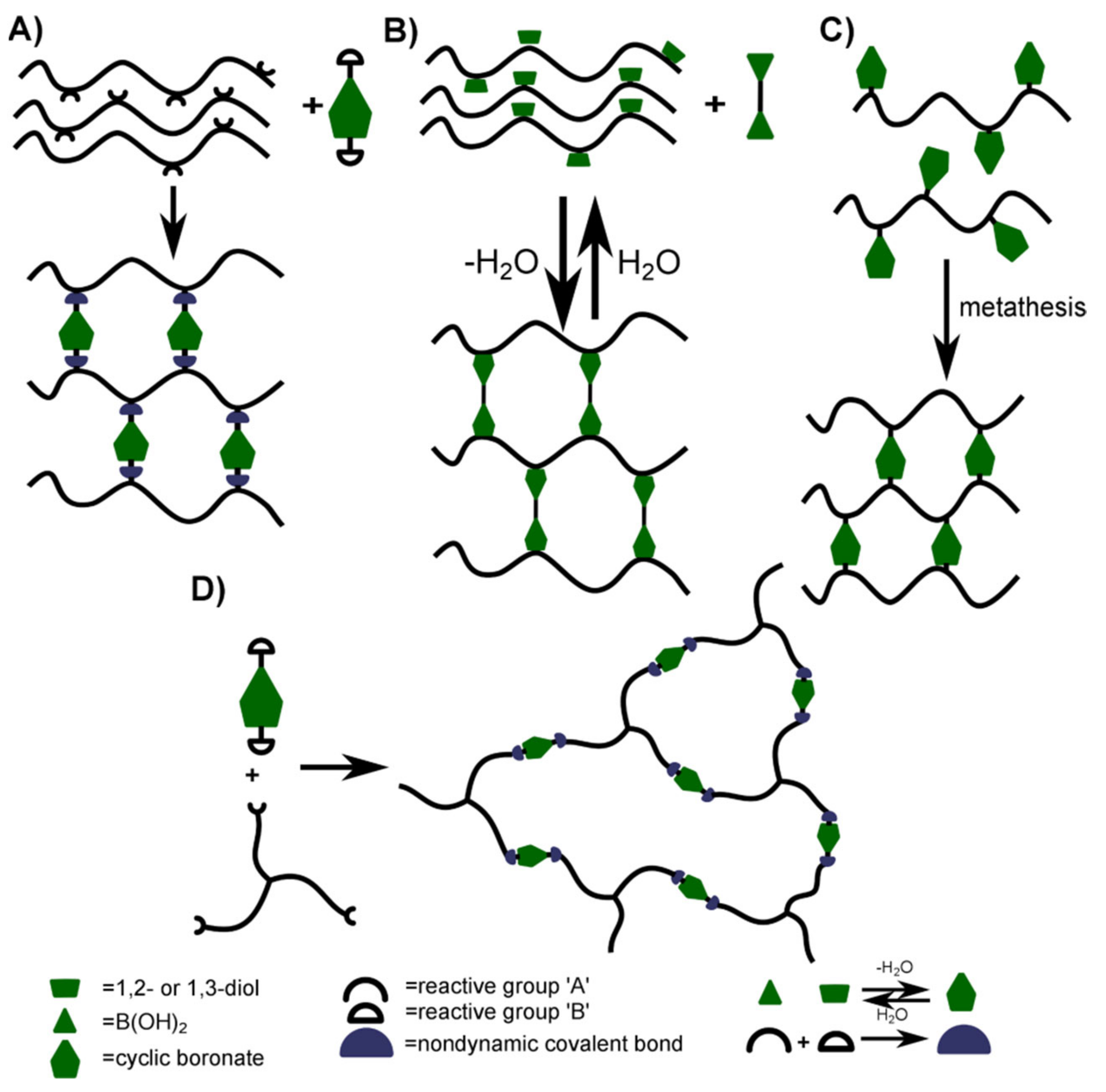 Polymers 14 00842 g002