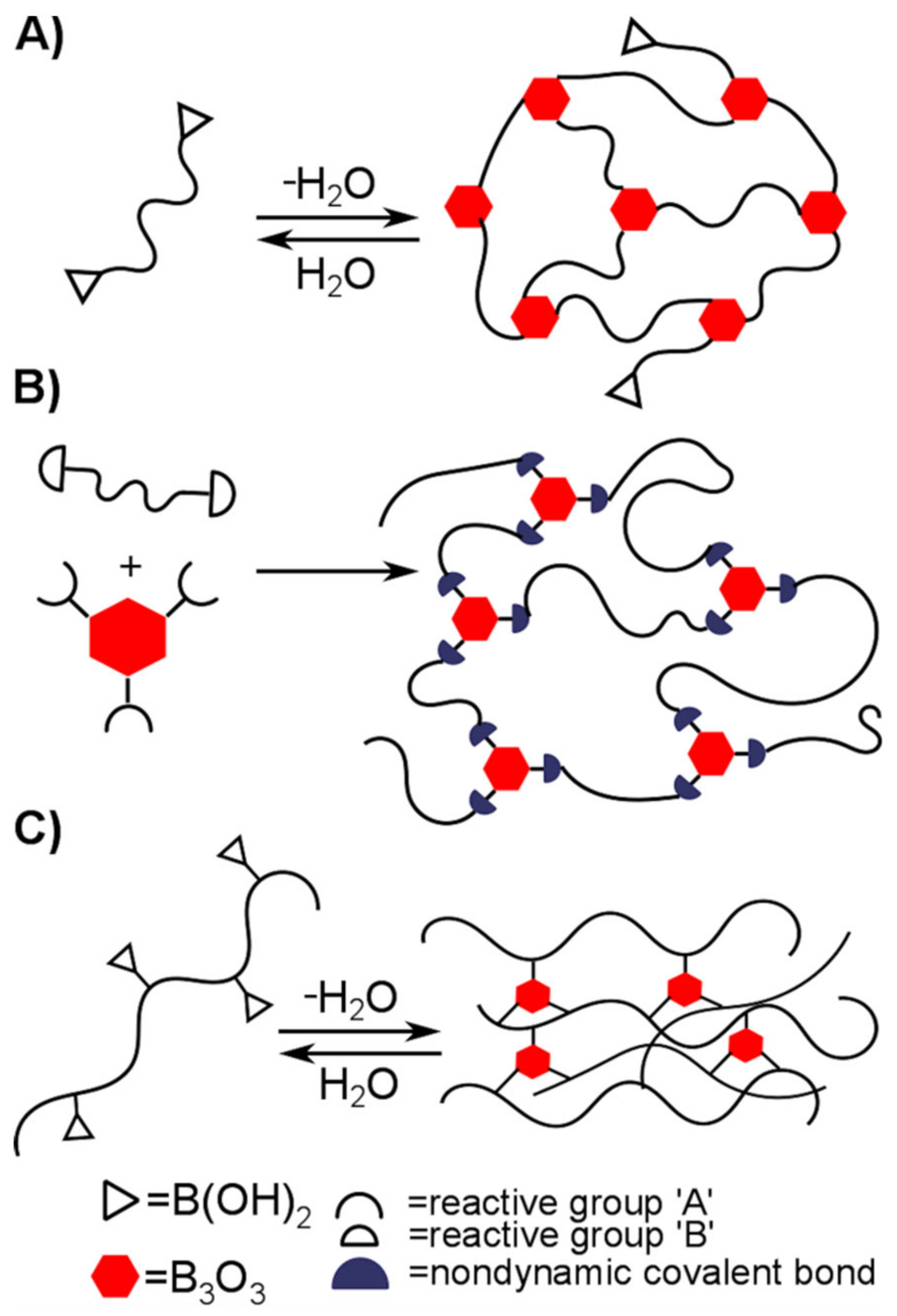 Polymers 14 00842 g007