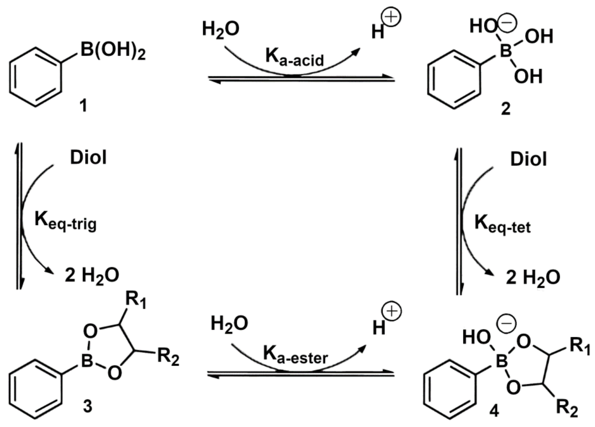 Polymers 14 00842 sch001