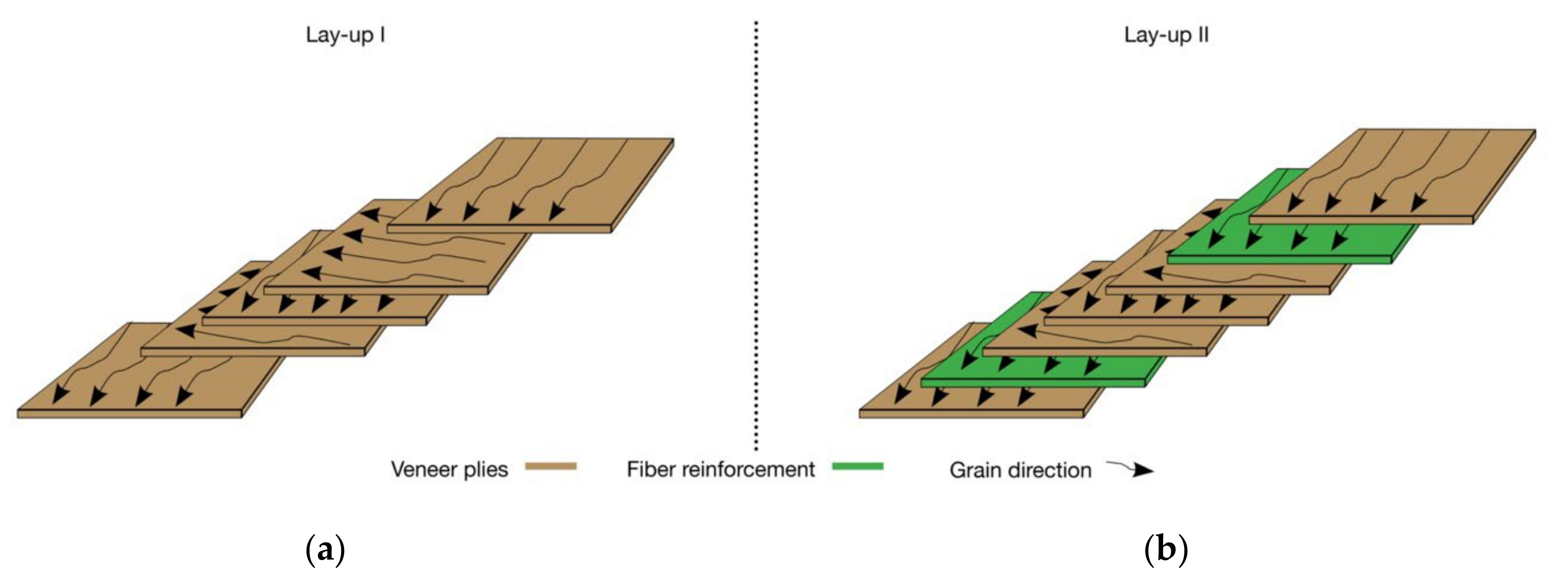 Polymers 14 00843 g001