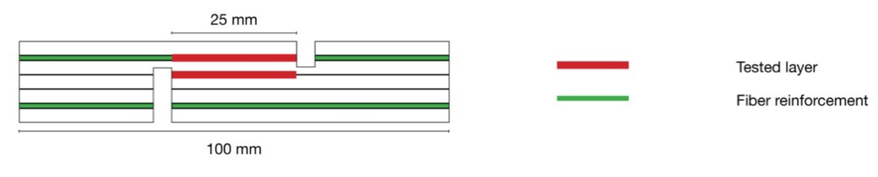 Polymers 14 00843 g002