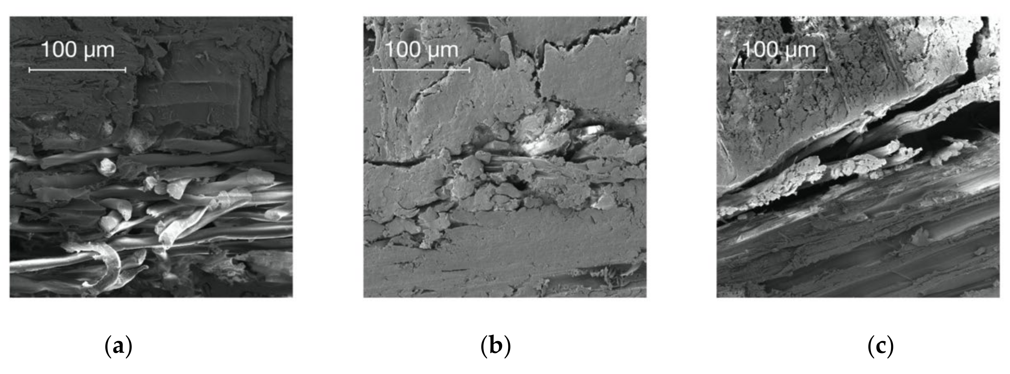 Polymers 14 00843 g004