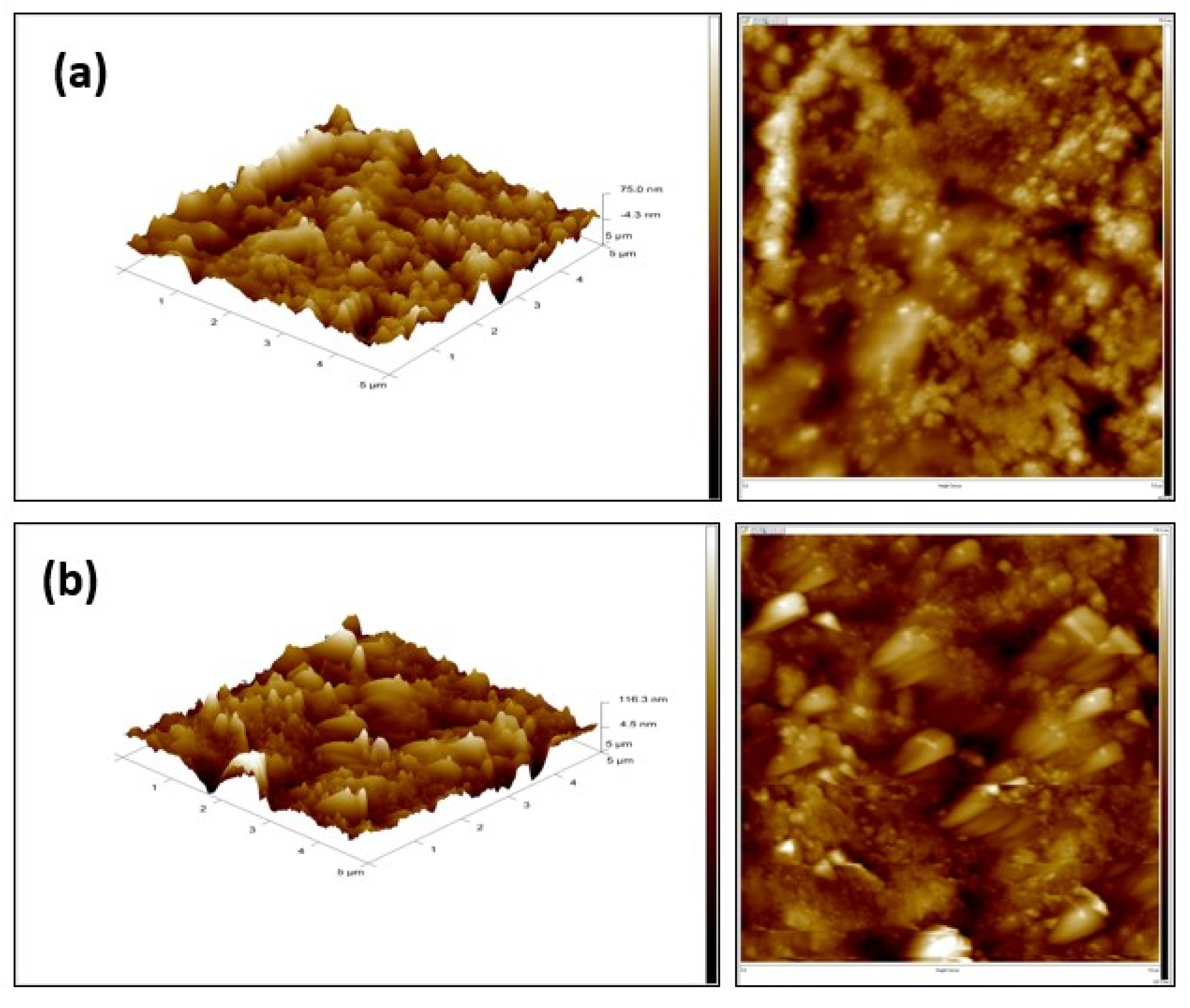 Polymers 14 00845 g004