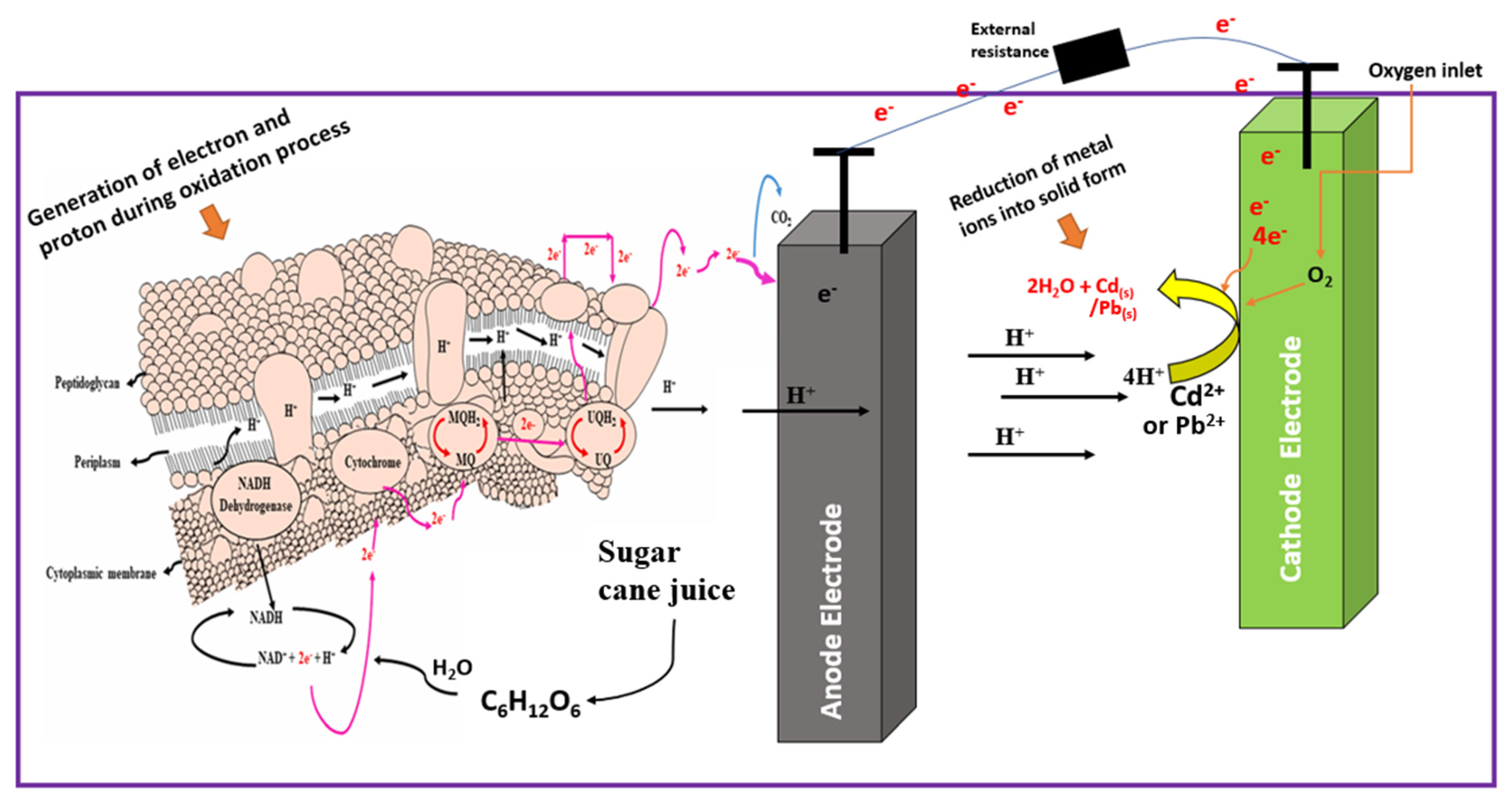 Polymers 14 00845 g008