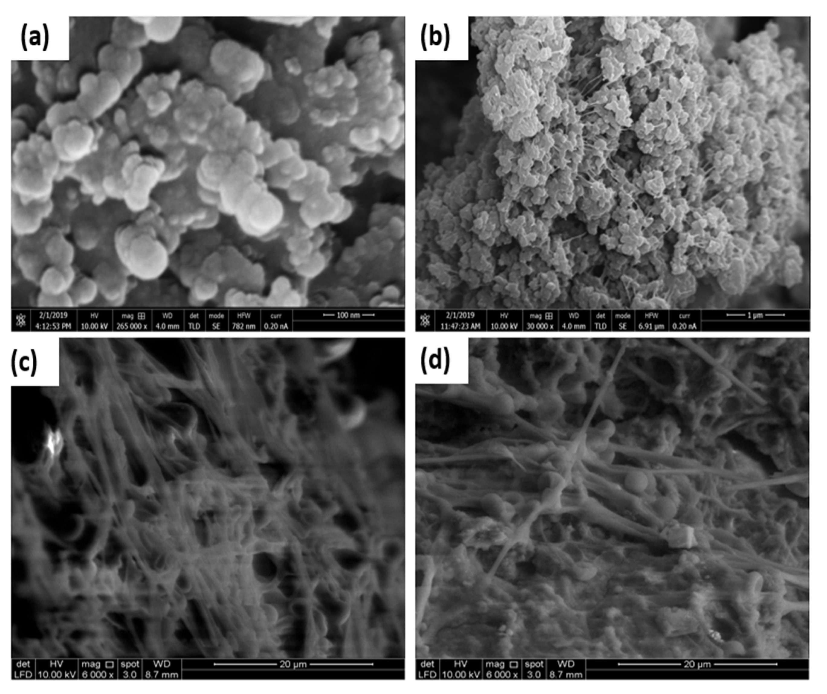 Polymers 14 00845 g009