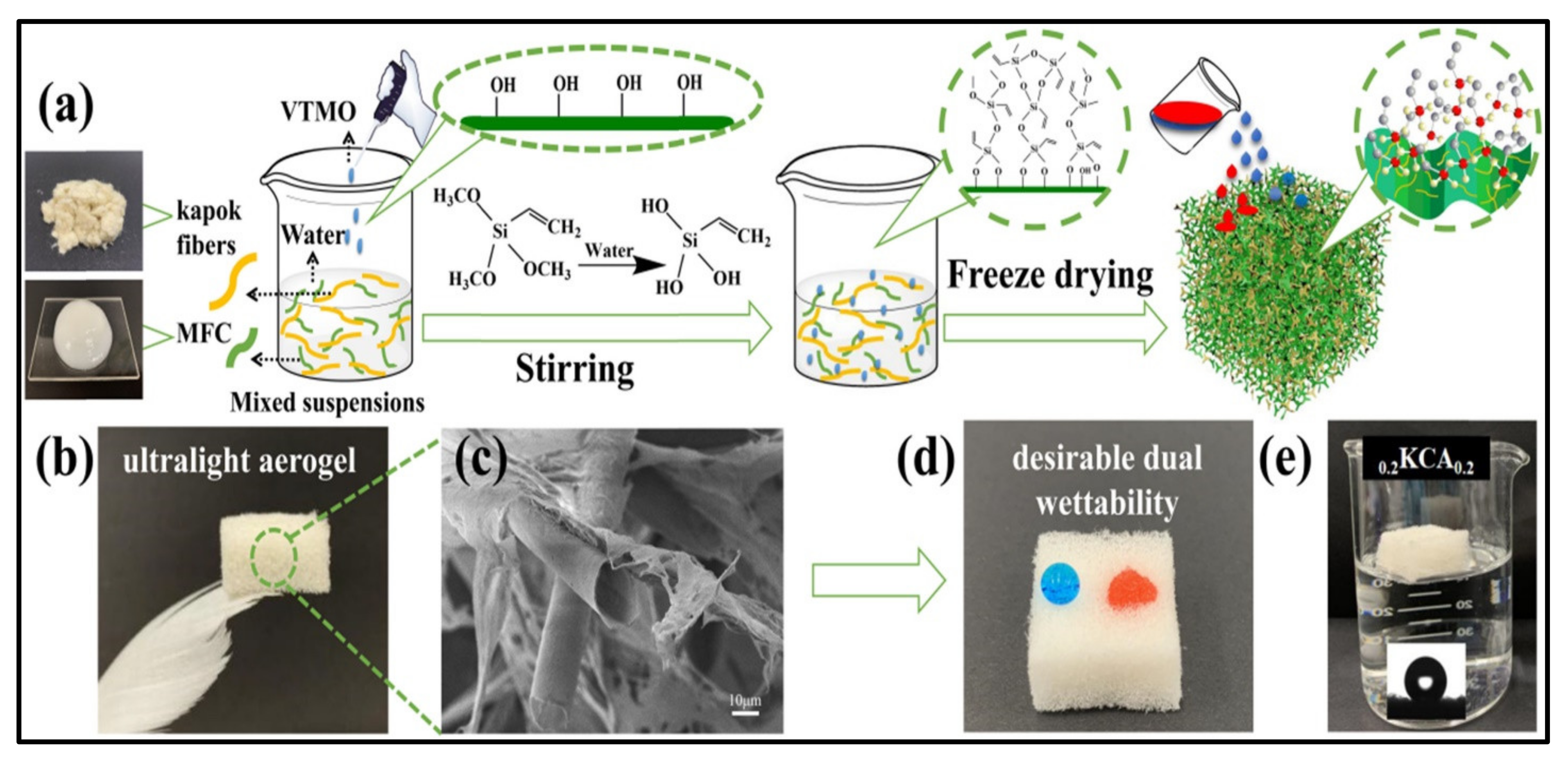 Polymers 14 00849 g004