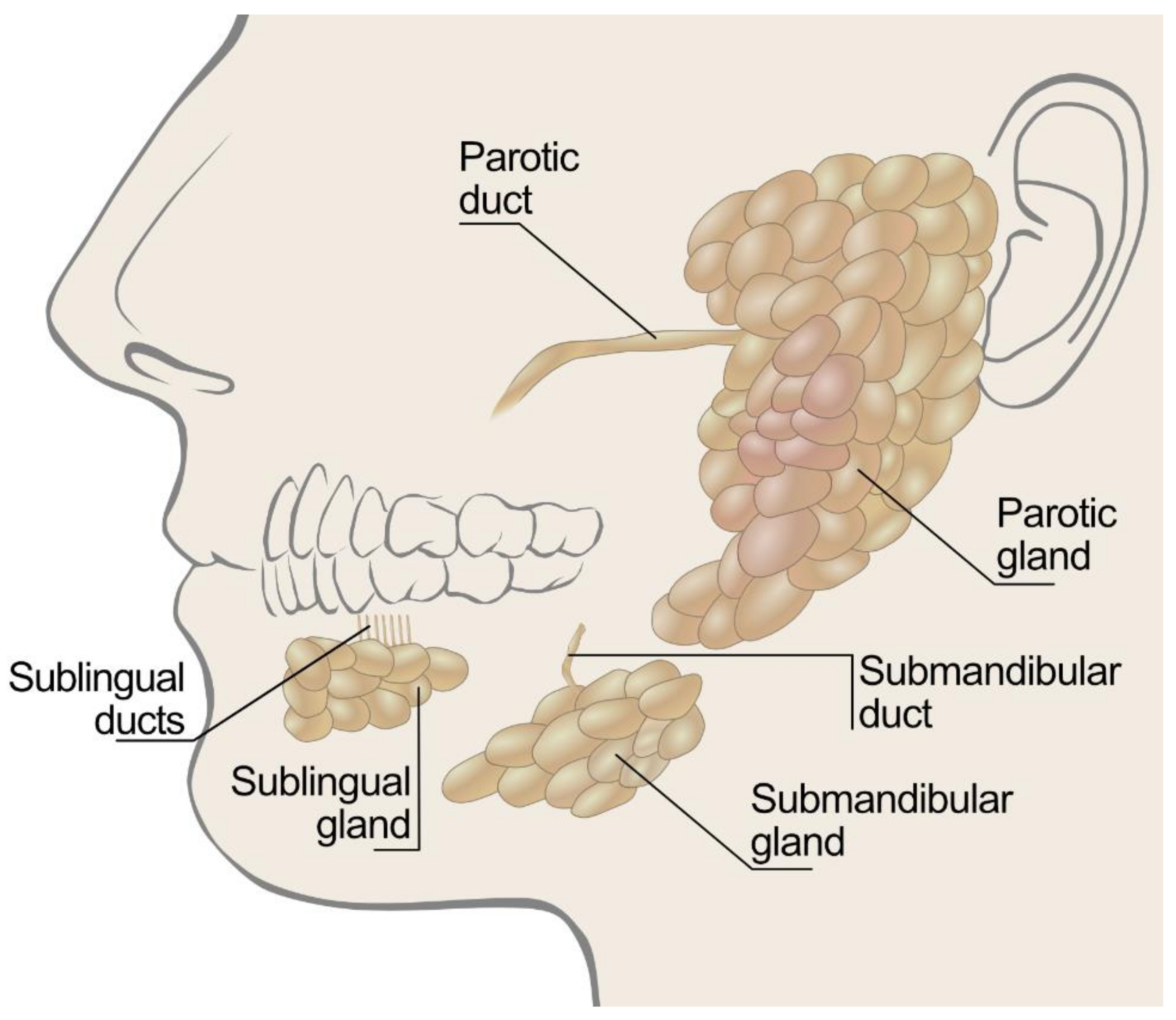Polymers 14 00850 g001
