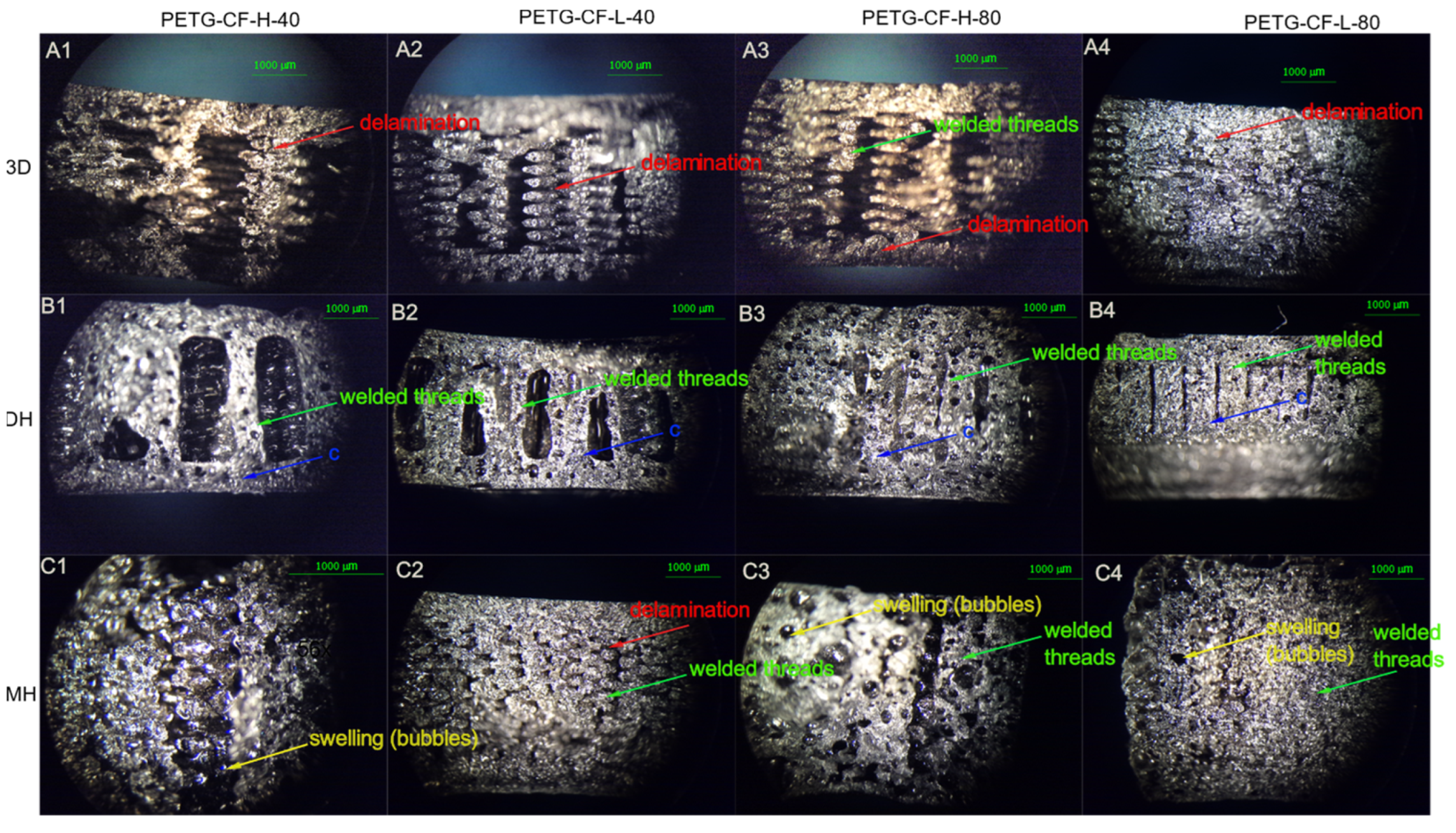 Polymers 14 00855 g010