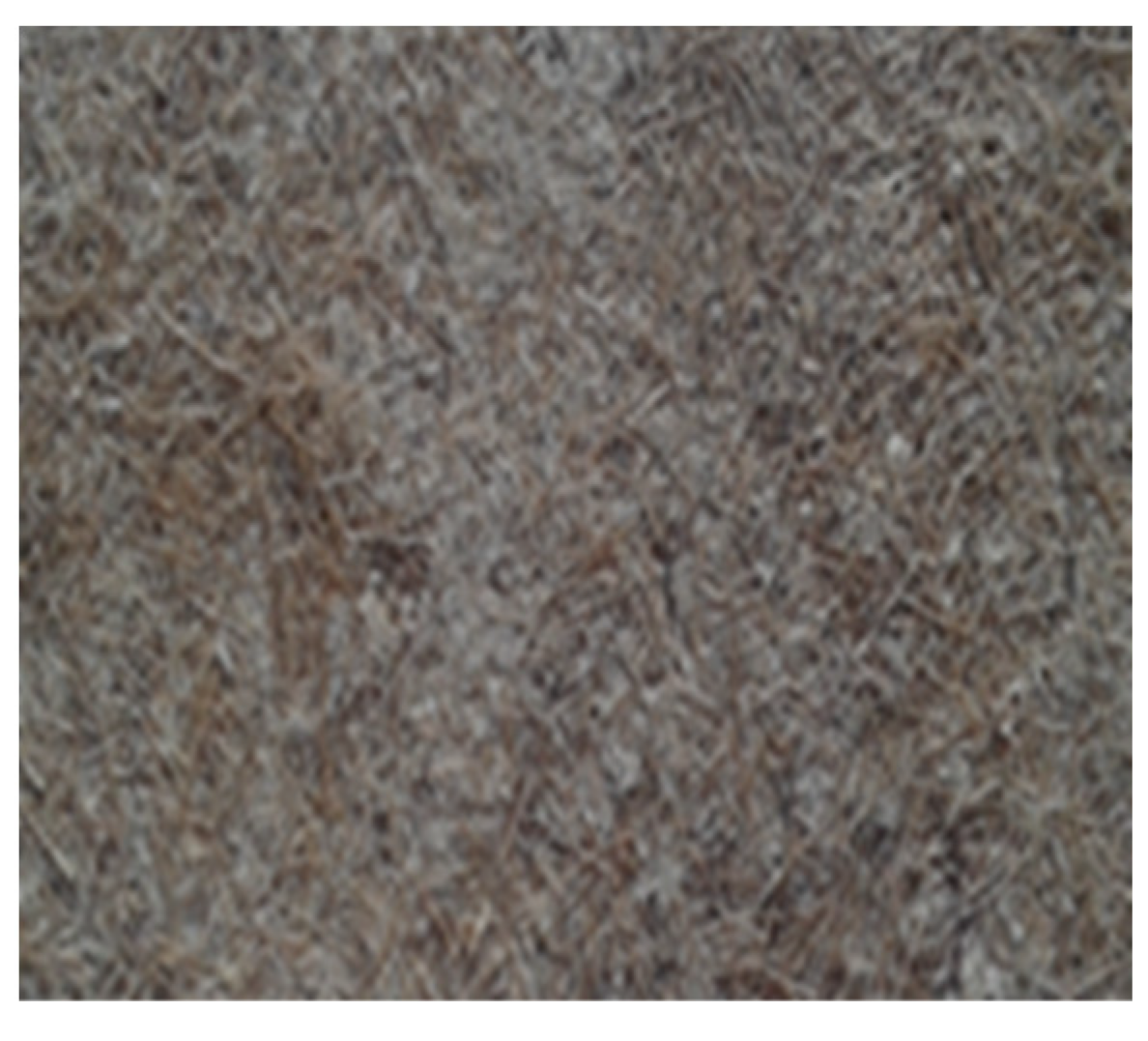 Polymers 14 00865 g002