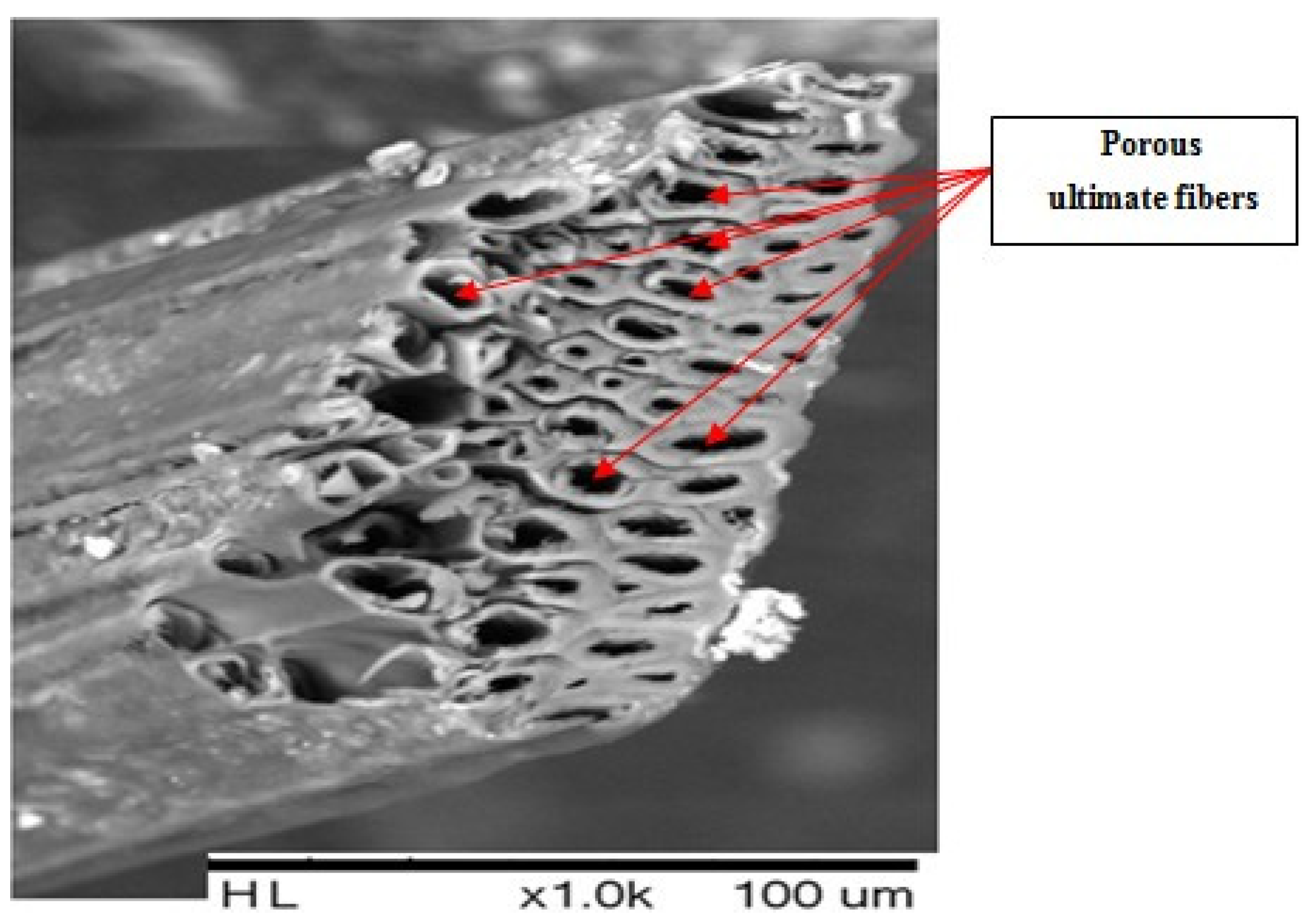 Polymers 14 00865 g008