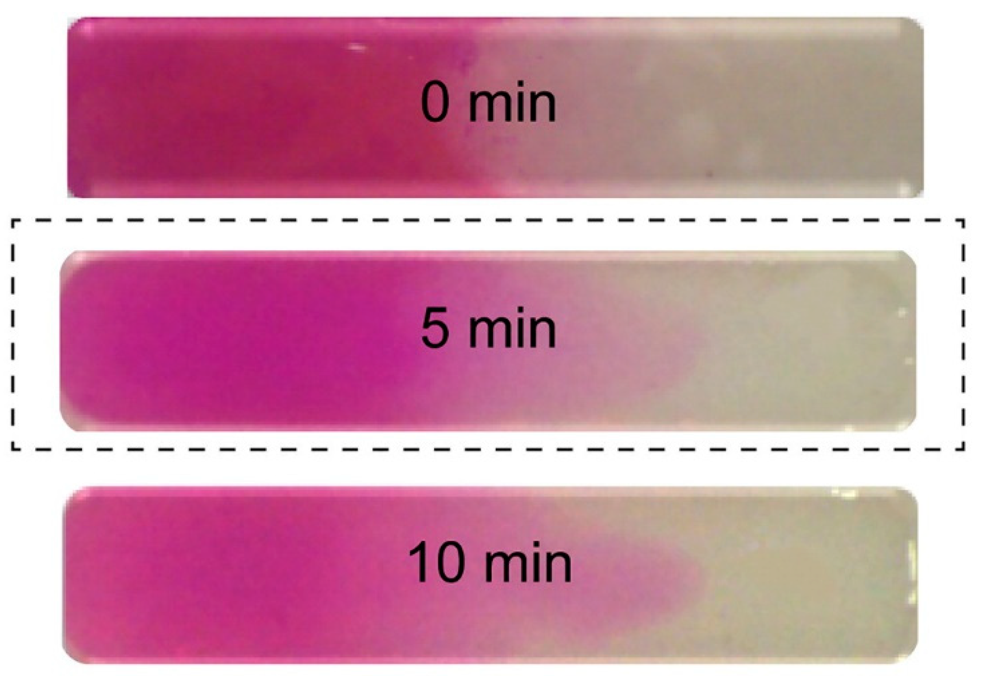 Polymers 14 00866 g001