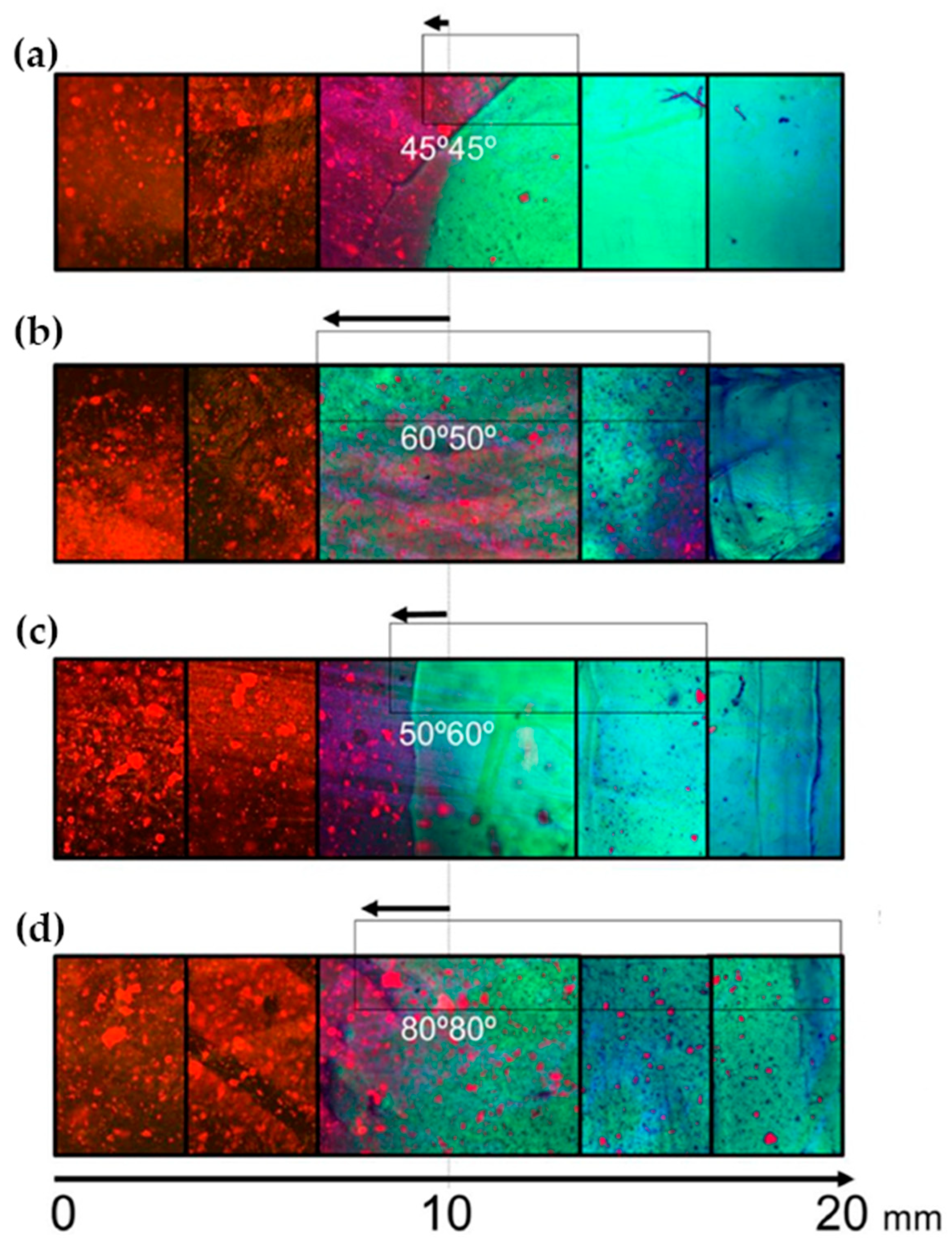 Polymers 14 00866 g003