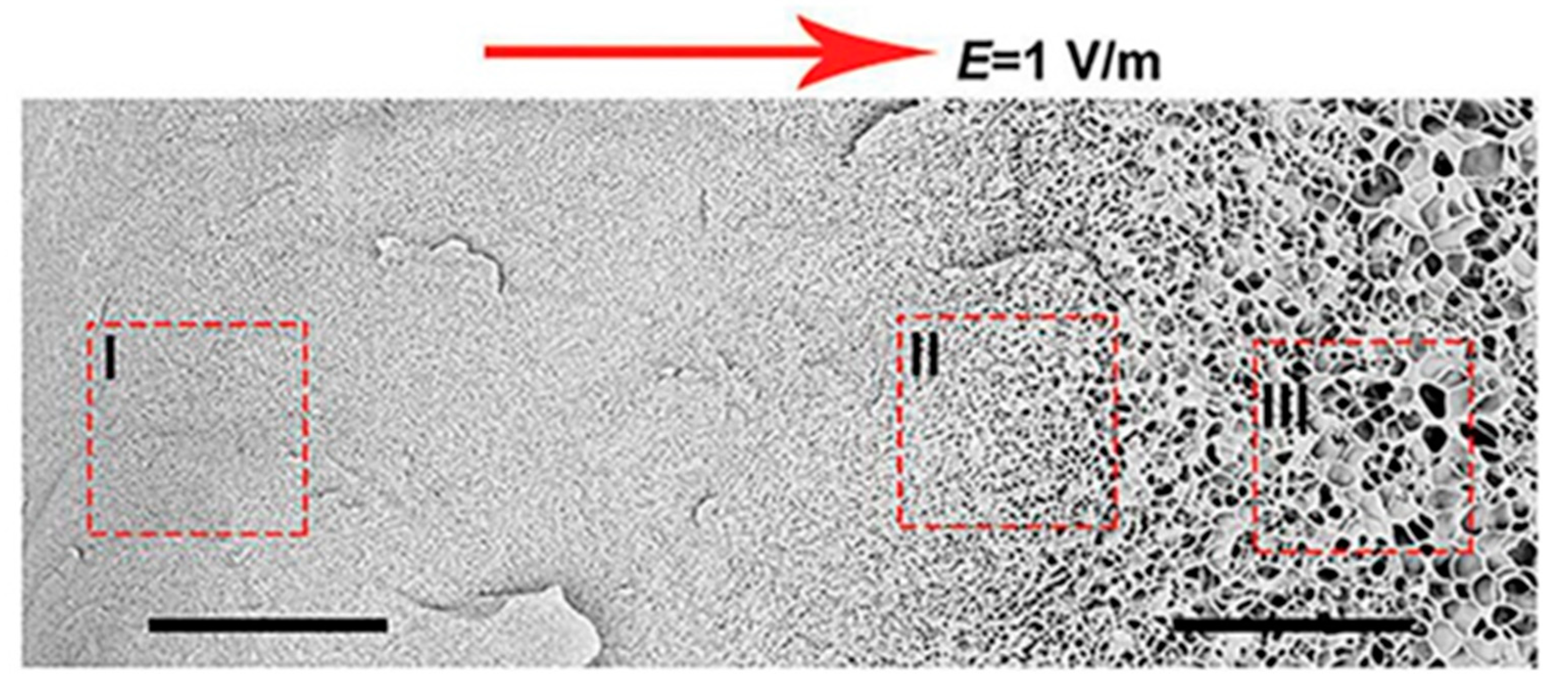 Polymers 14 00866 g006