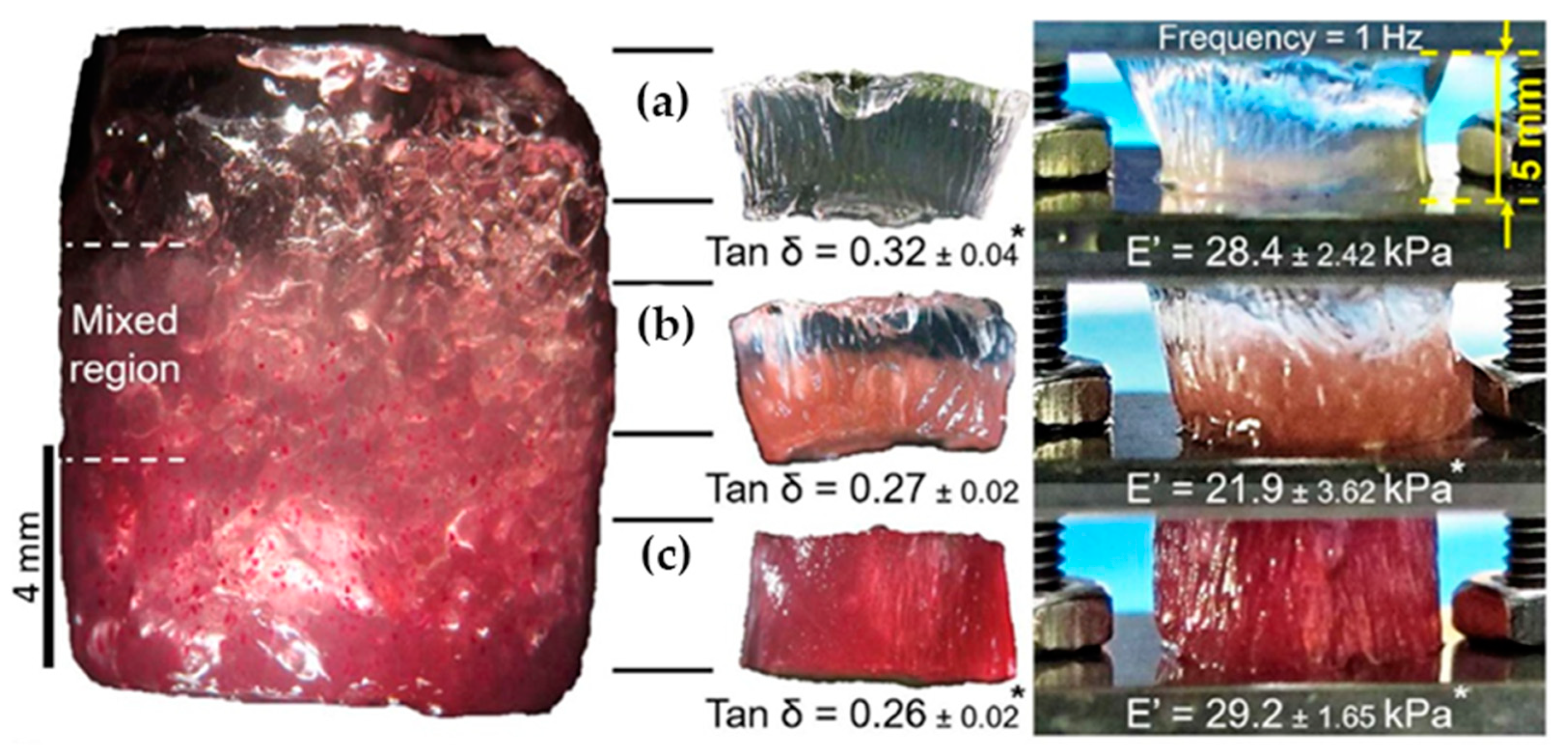 Polymers 14 00866 g008