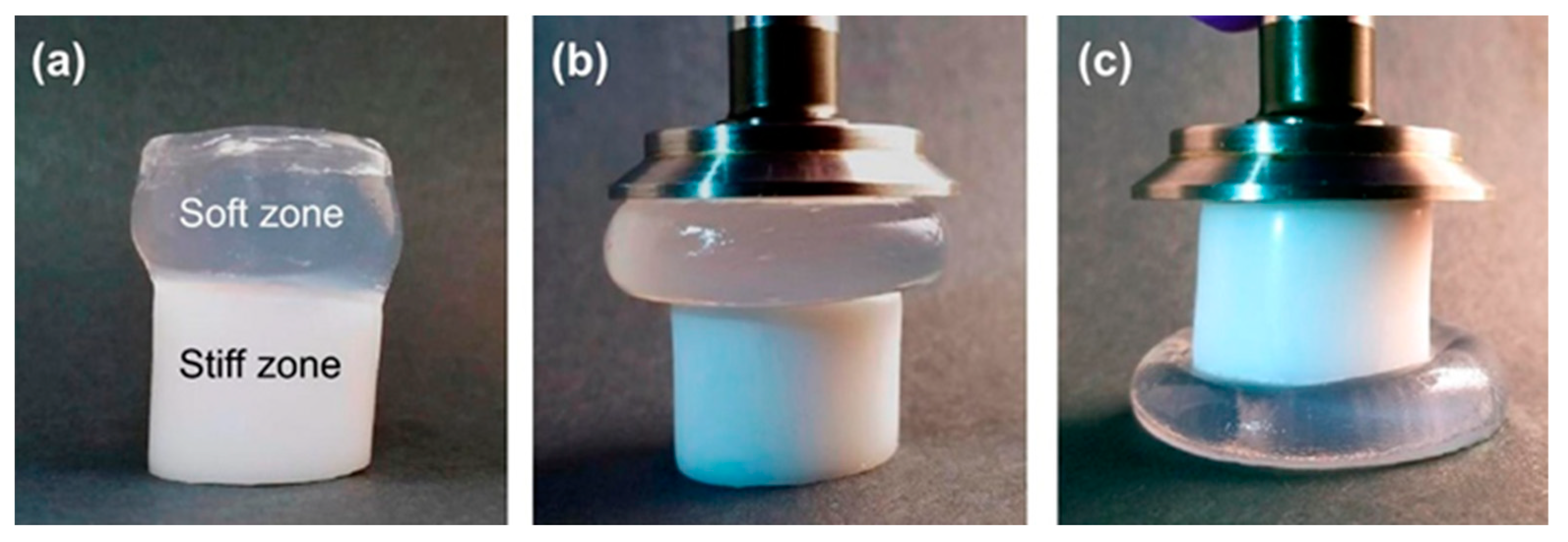 Polymers 14 00866 g010