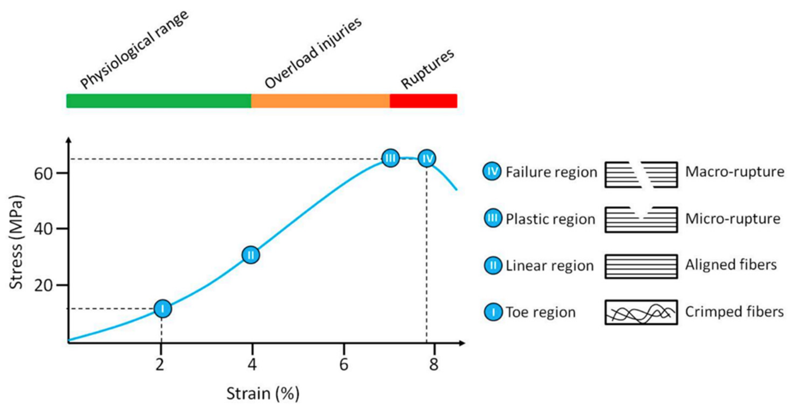 Polymers 14 00867 g002