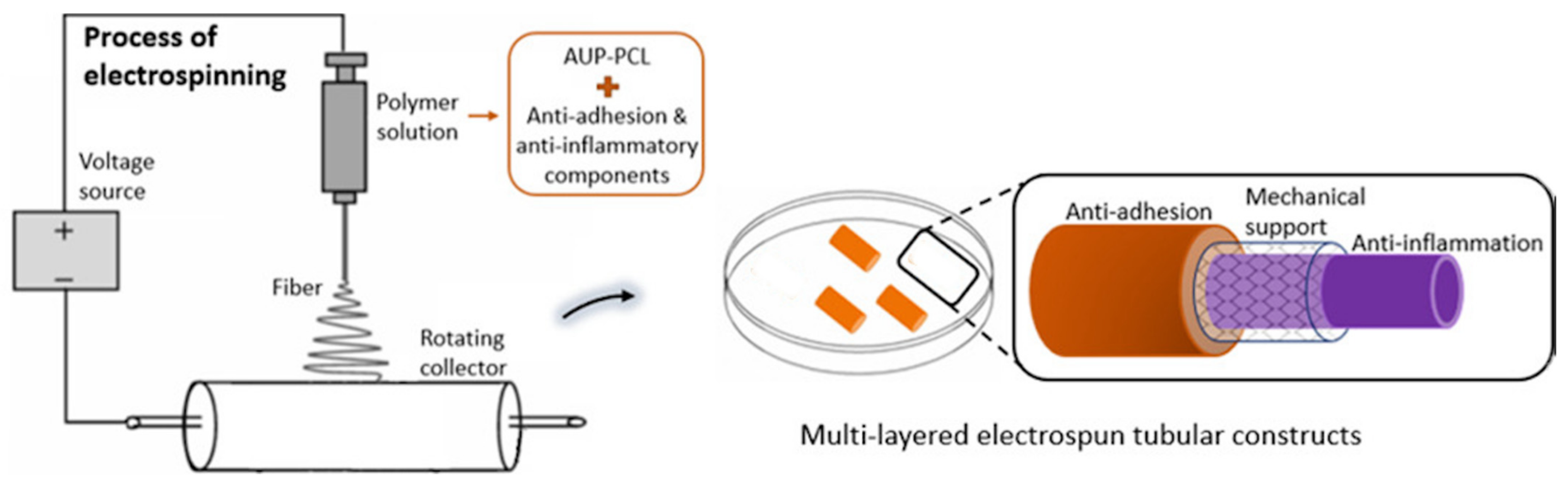 Polymers 14 00867 g006