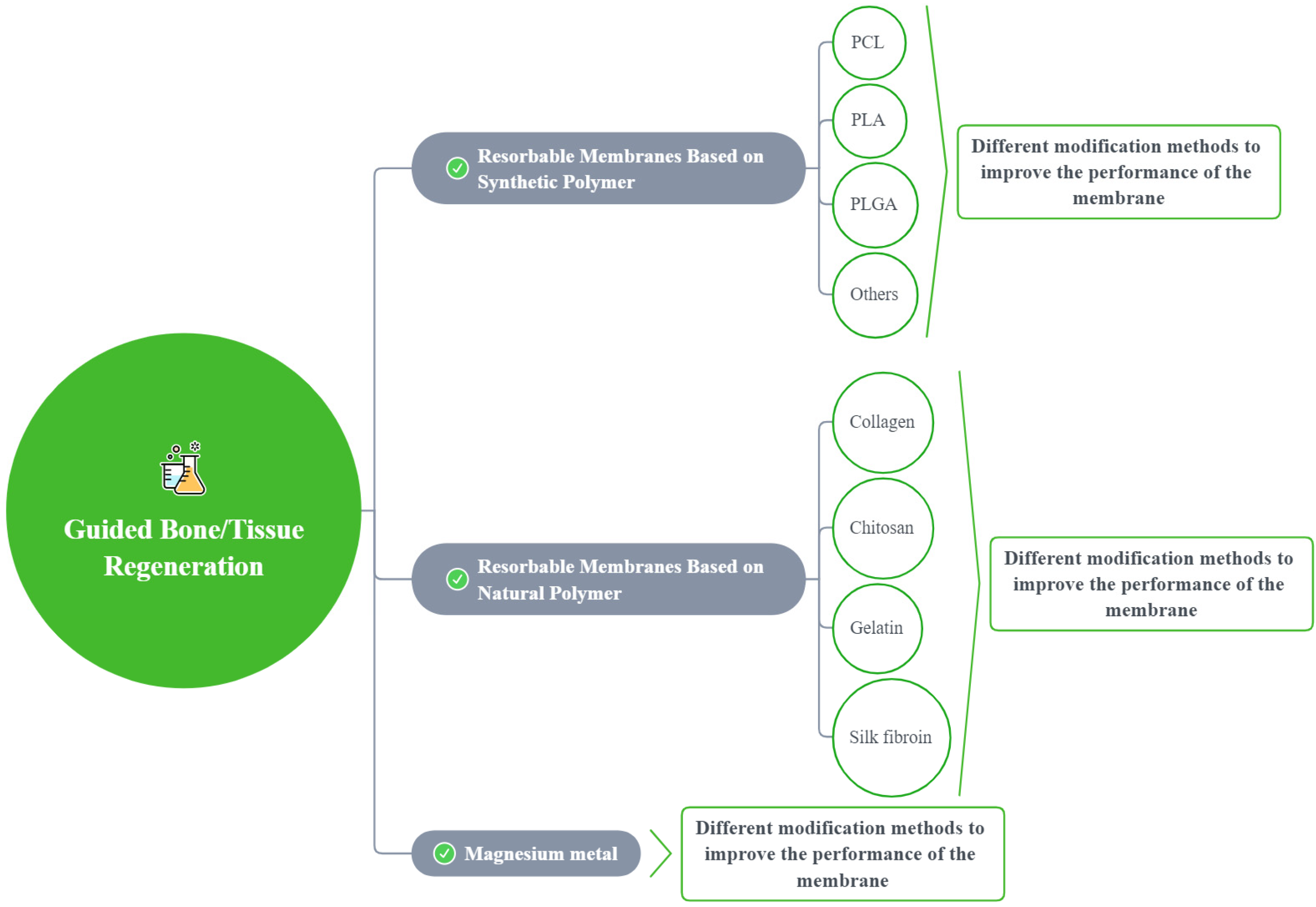 Polymers 14 00871 g003
