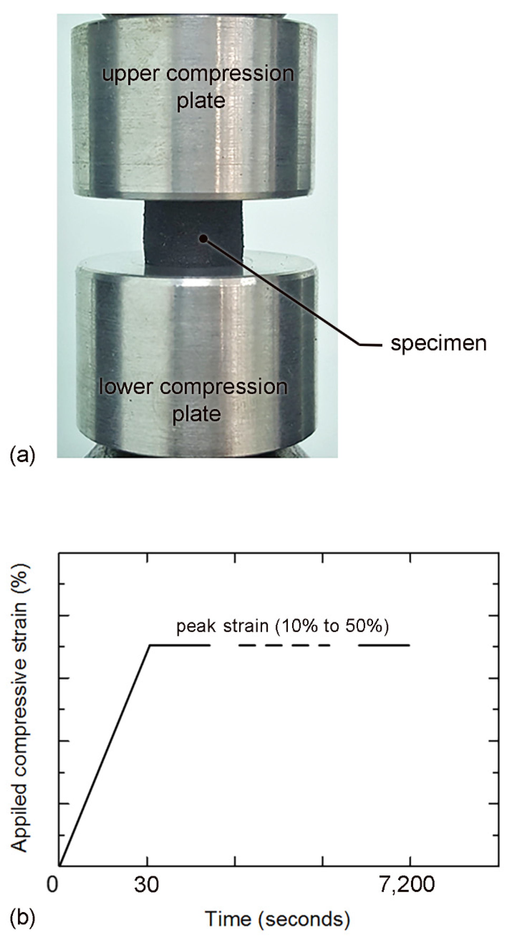 Polymers 14 00873 g004