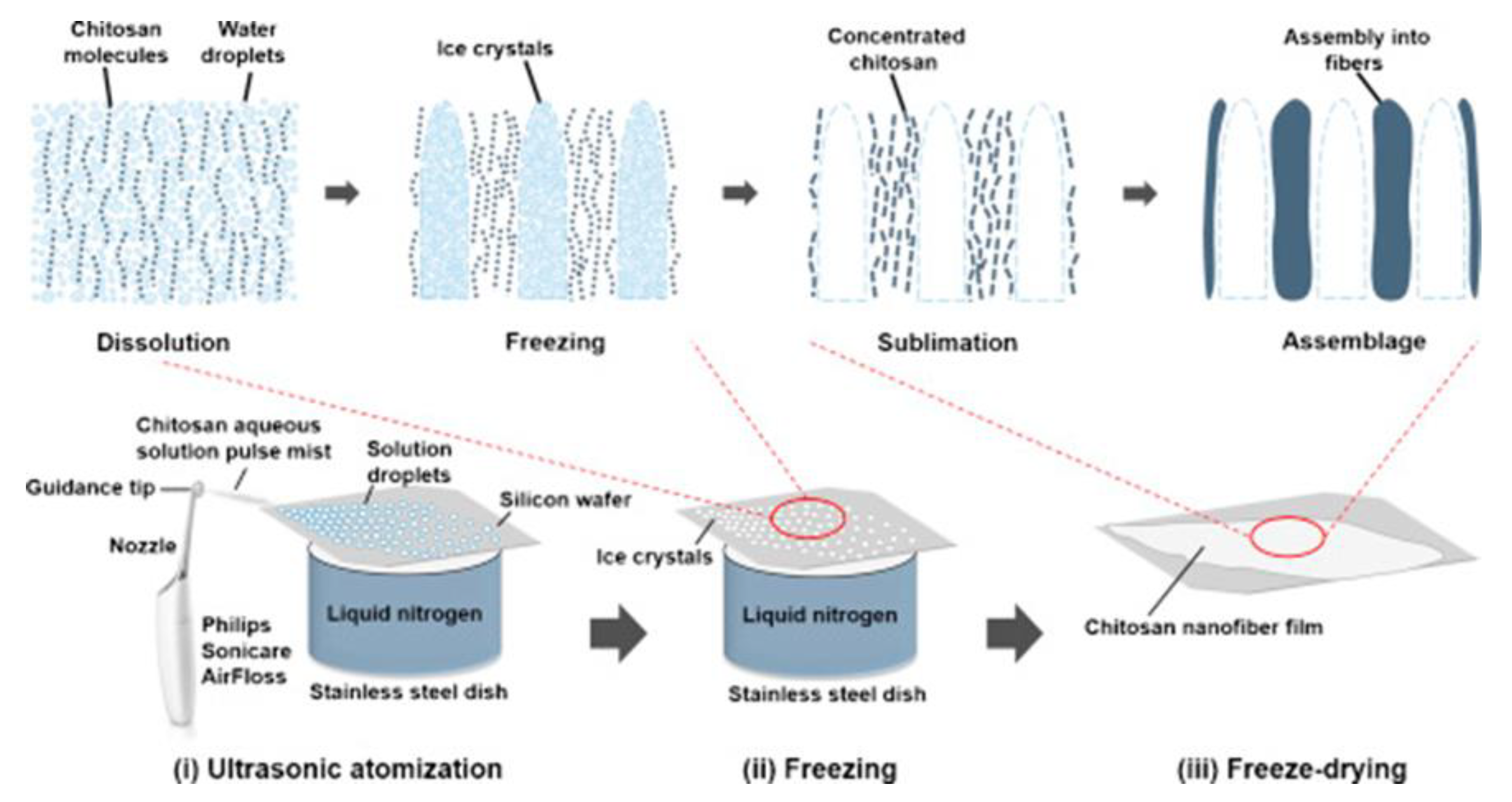 Polymers 14 00874 g007
