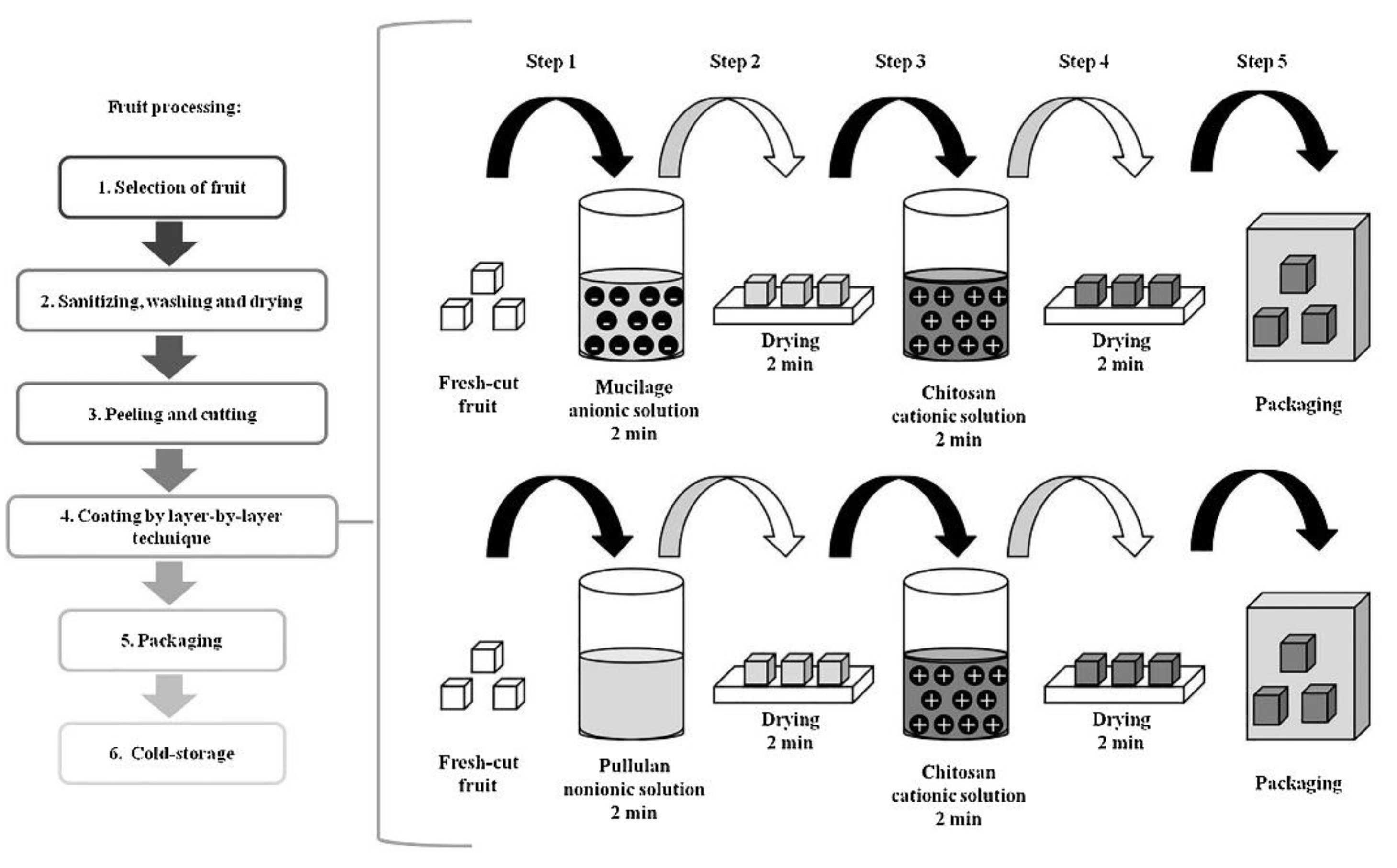 Polymers 14 00874 g008