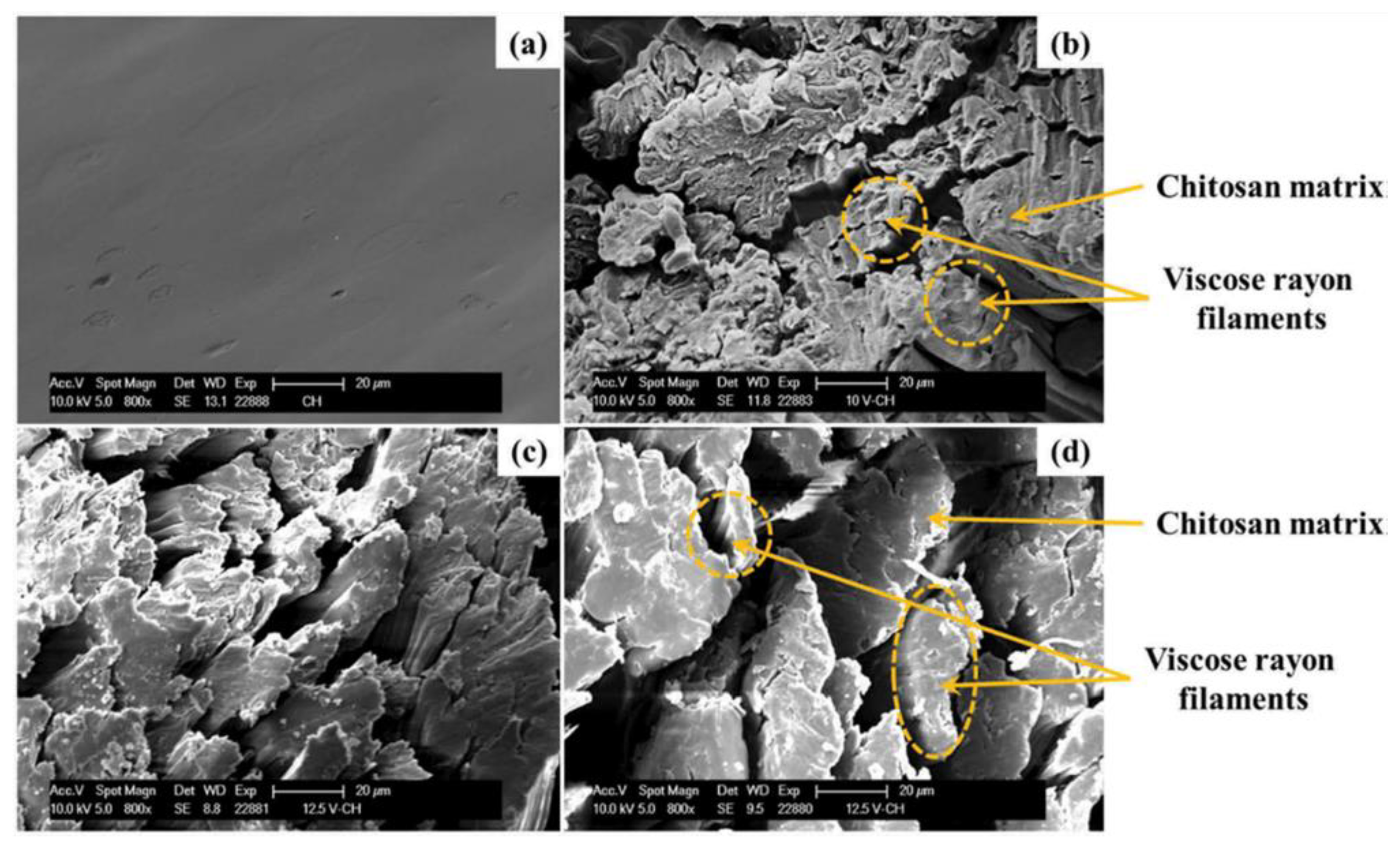 Polymers 14 00874 g013