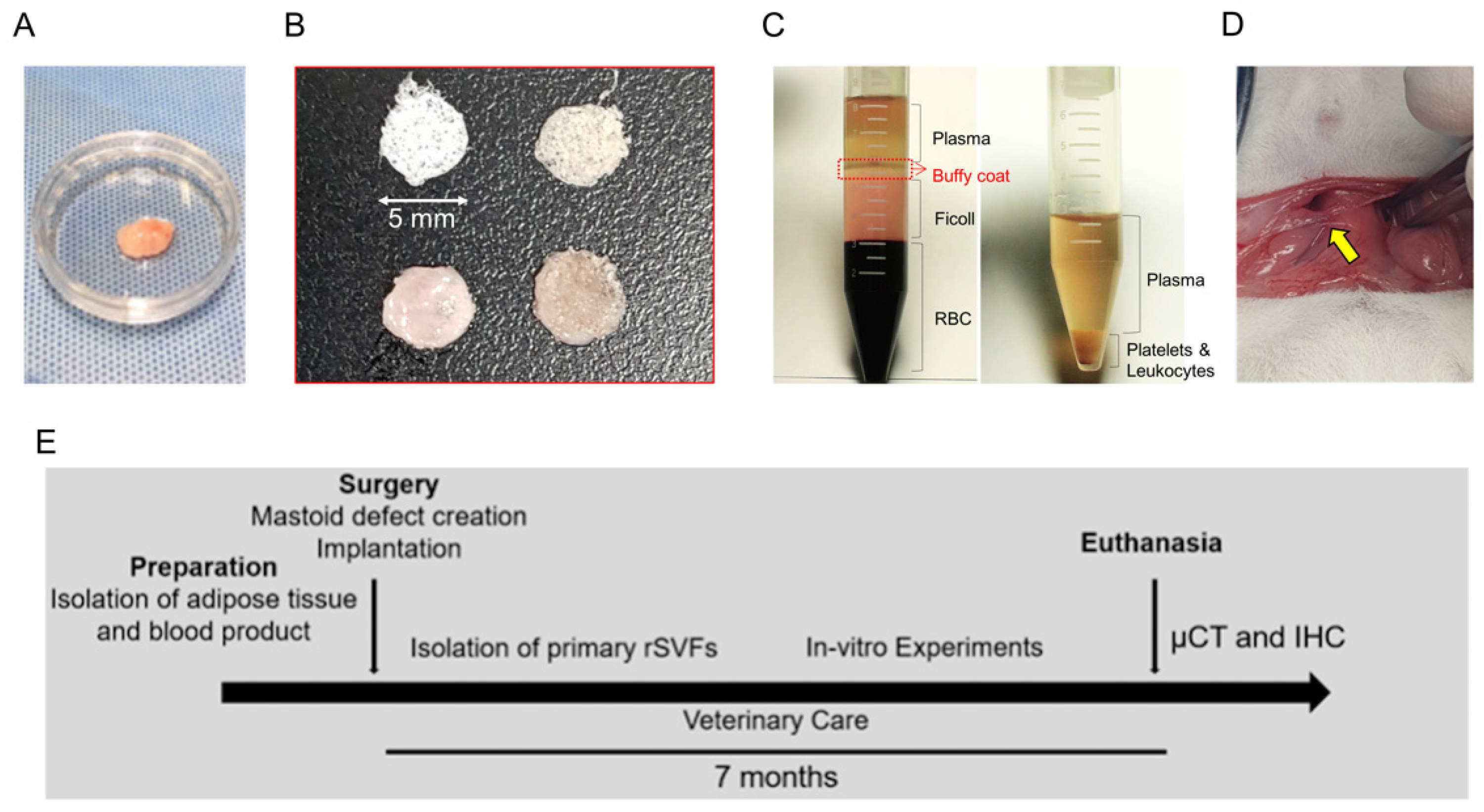 Polymers 14 00877 g001