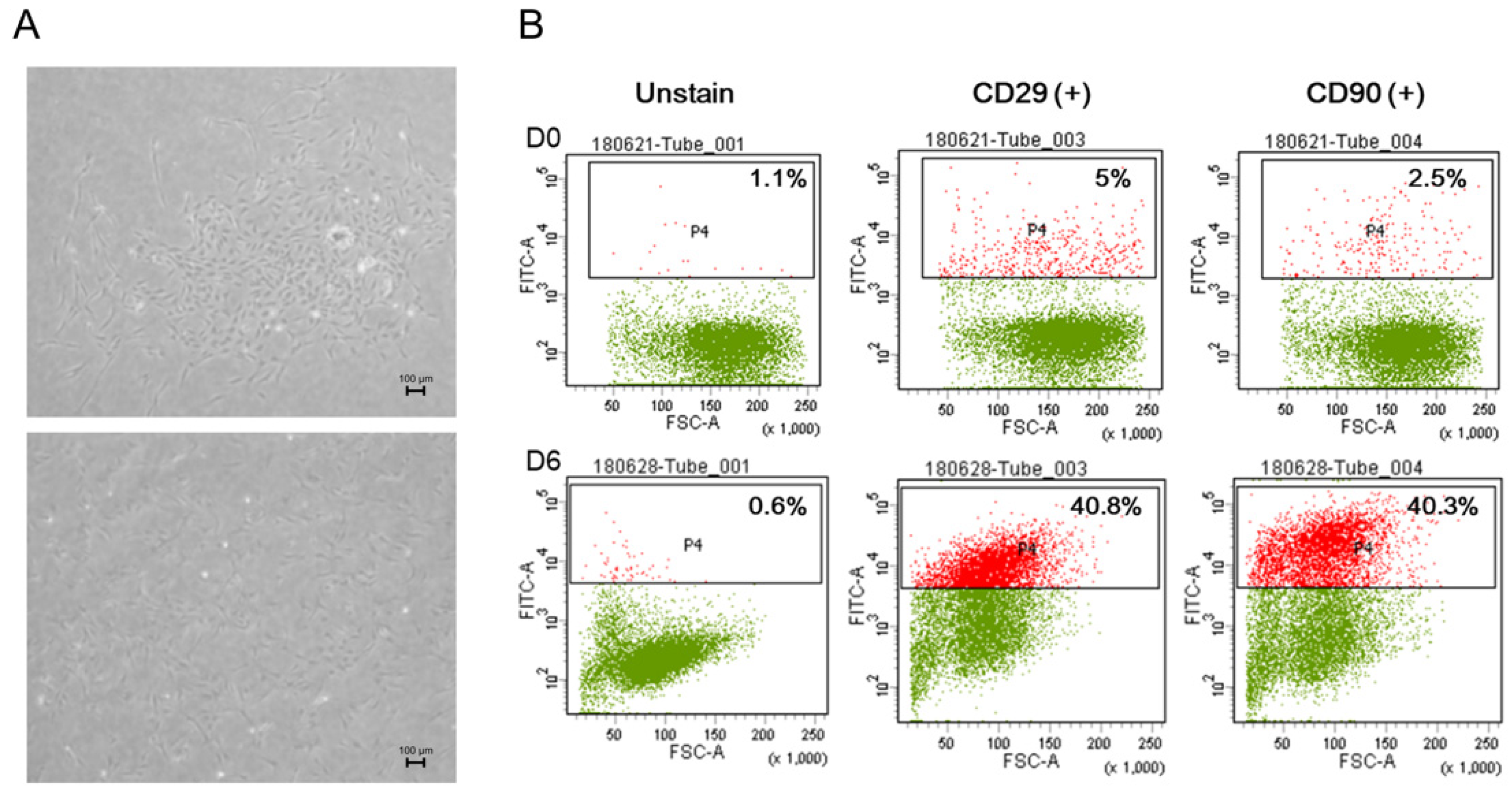Polymers 14 00877 g002
