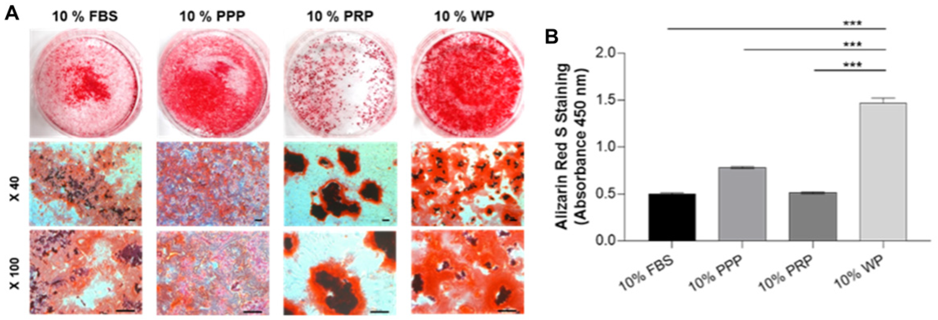 Polymers 14 00877 g004
