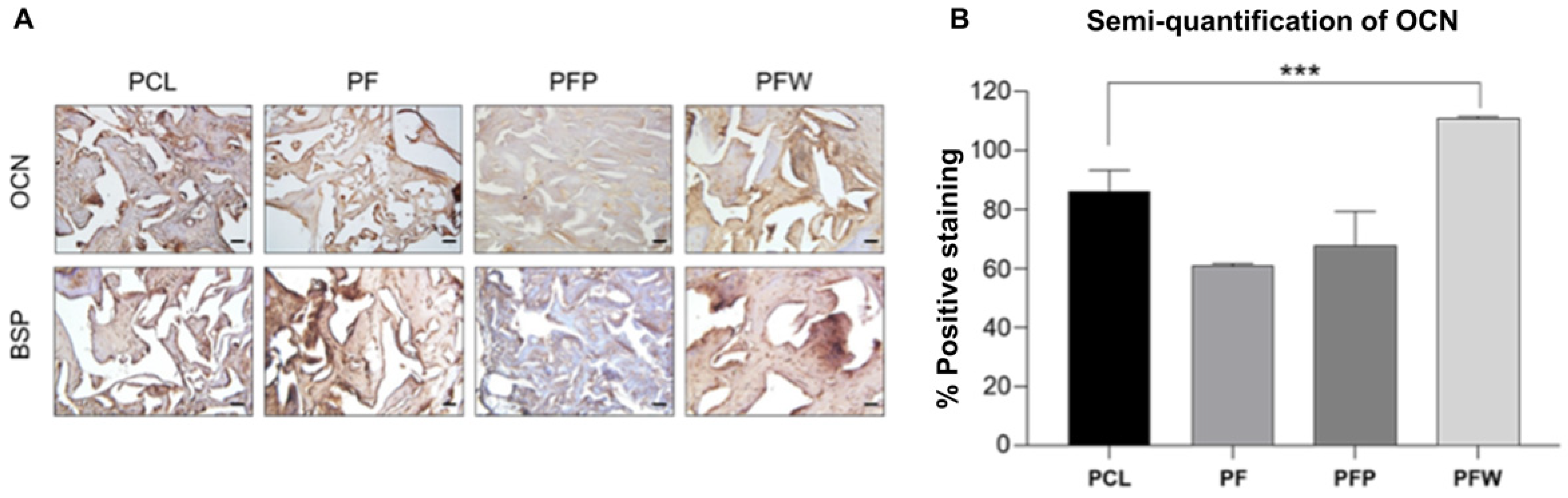 Polymers 14 00877 g006