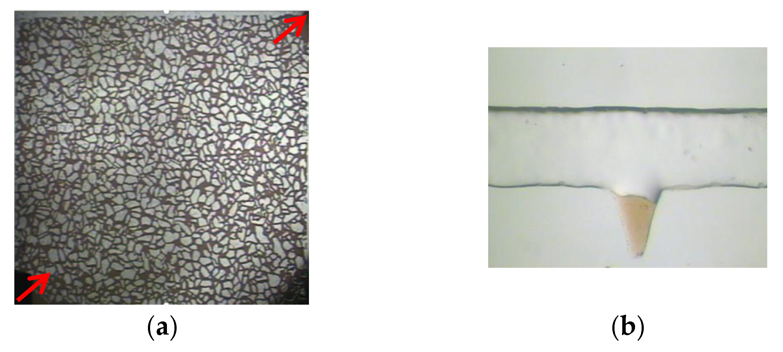 Polymers 14 00878 g001 Polymers 14 00878 g001