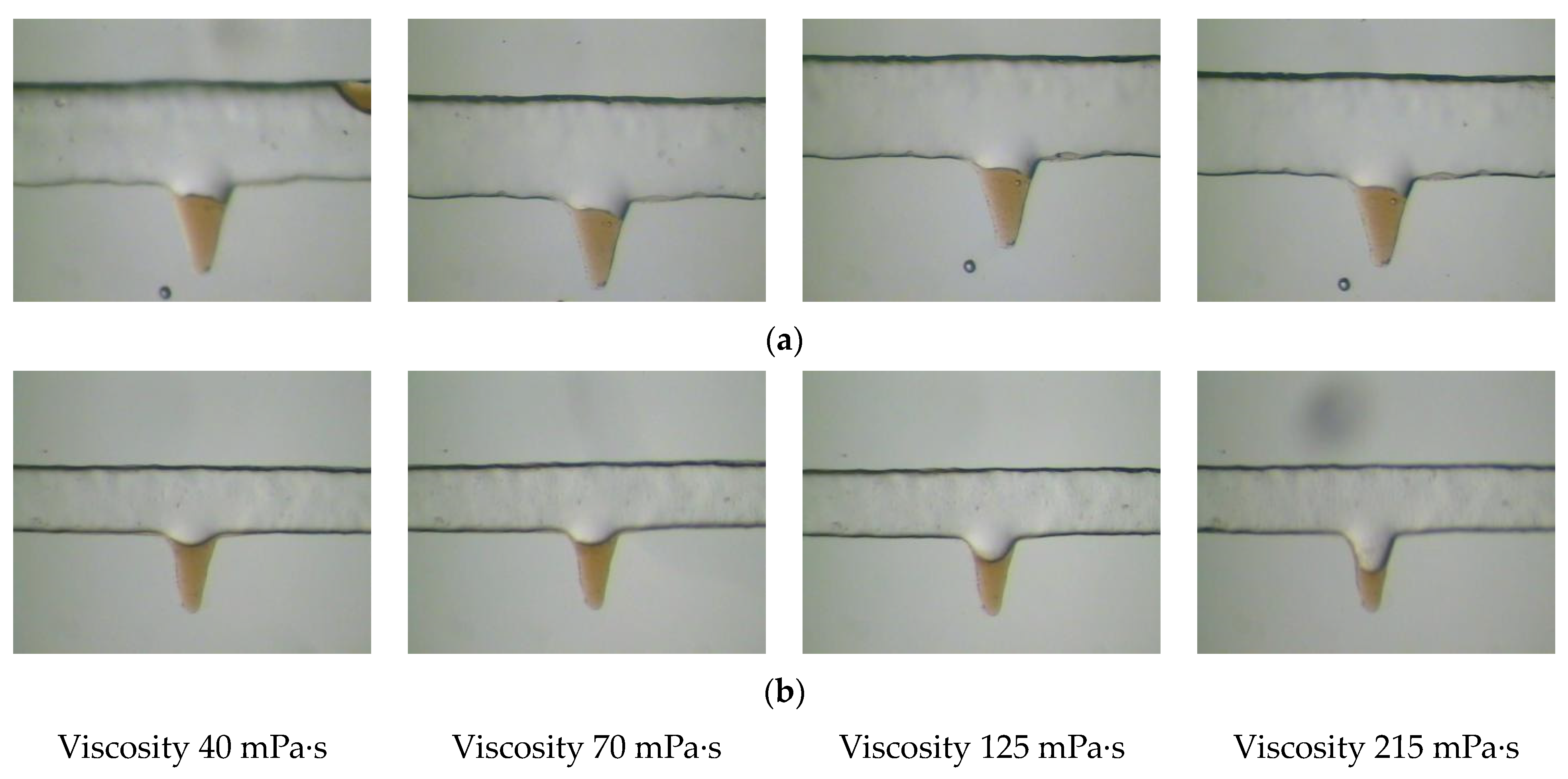 Polymers 14 00878 g007 Polymers 14 00878 g007