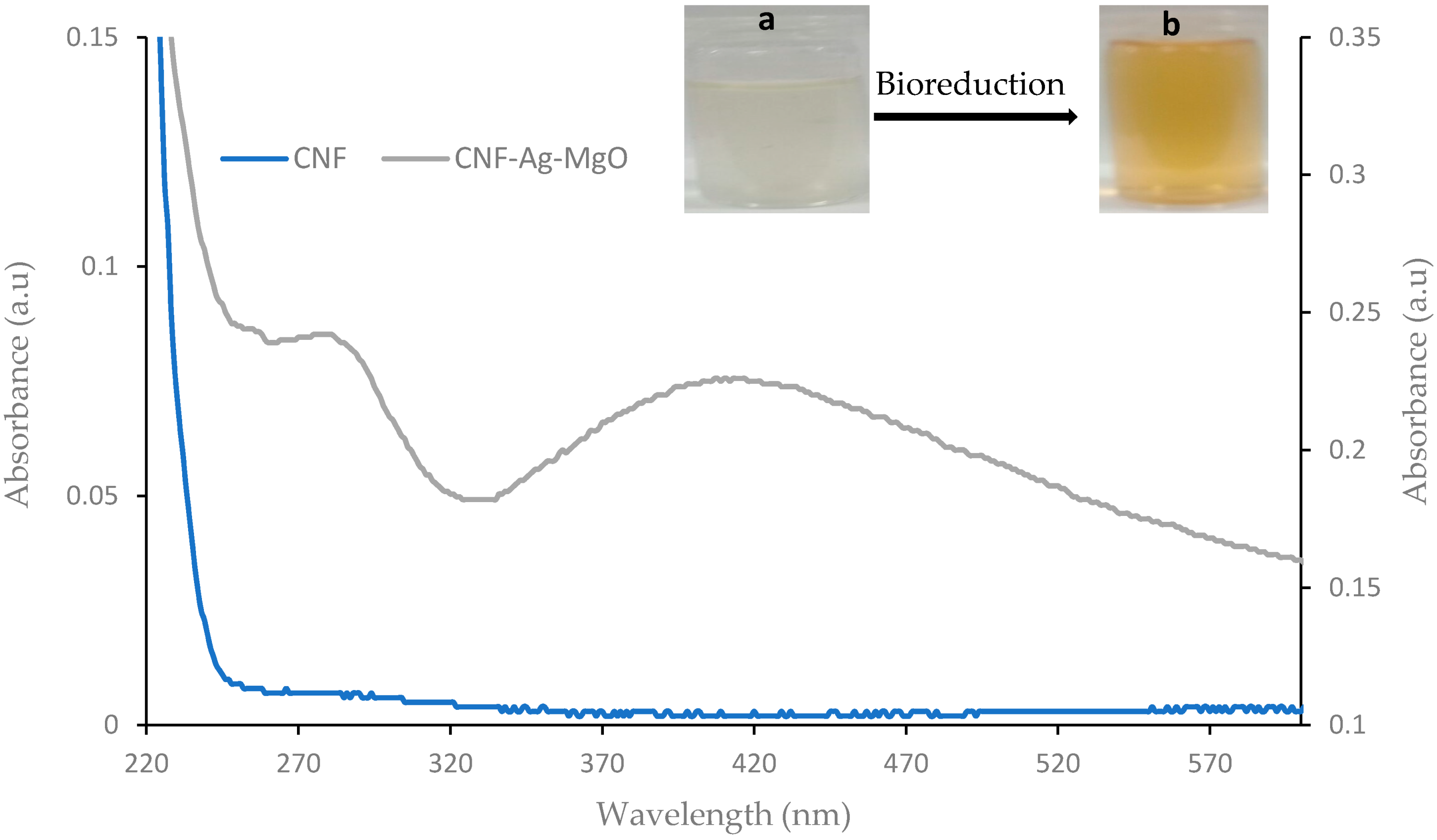 Polymers 14 00890 g001