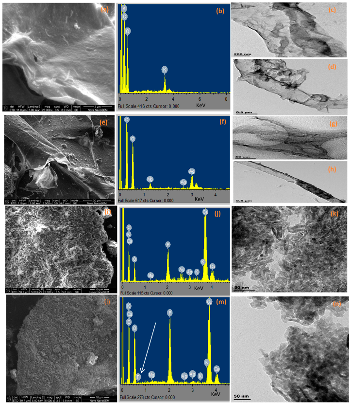Polymers 14 00890 g002