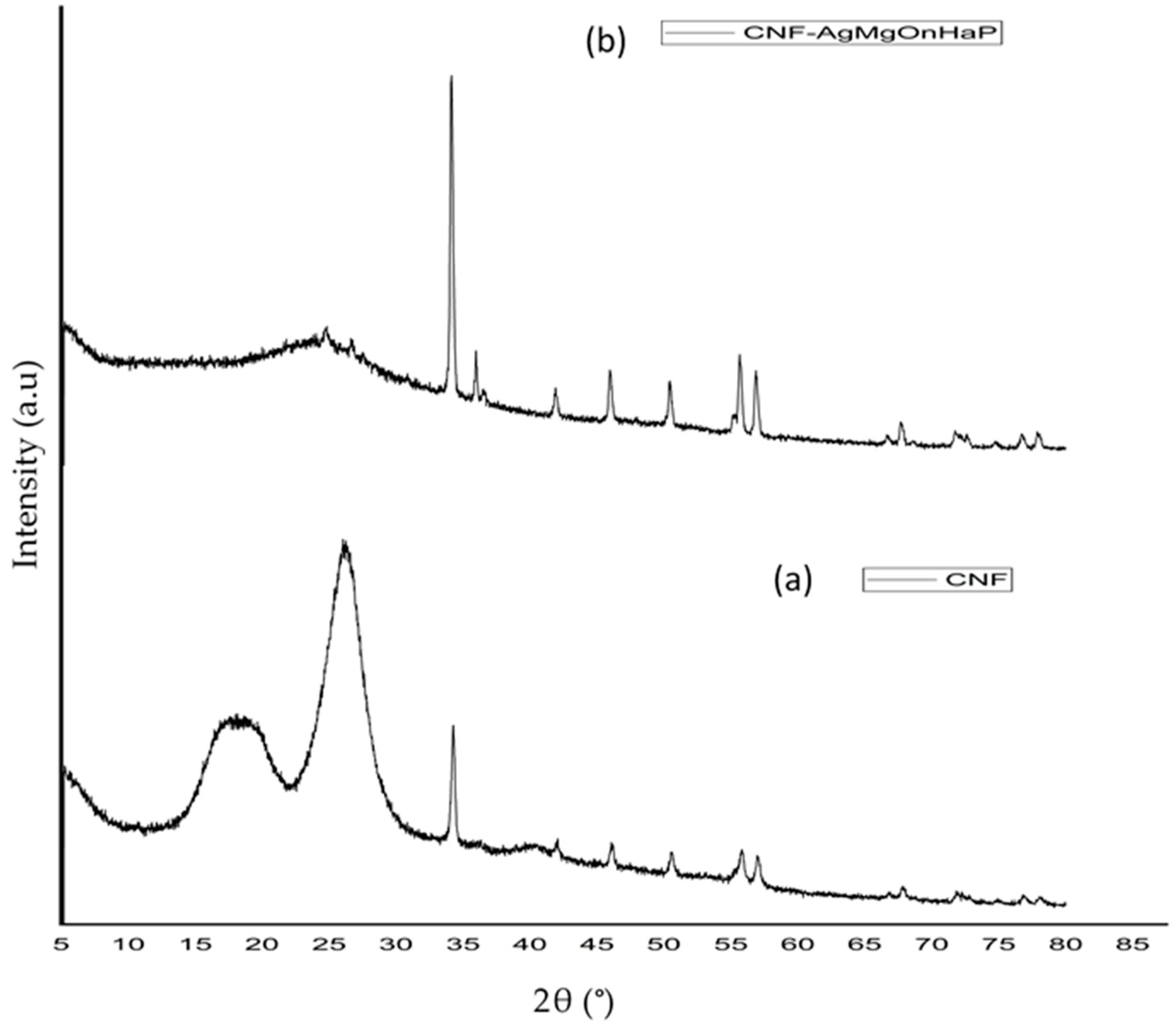 Polymers 14 00890 g005