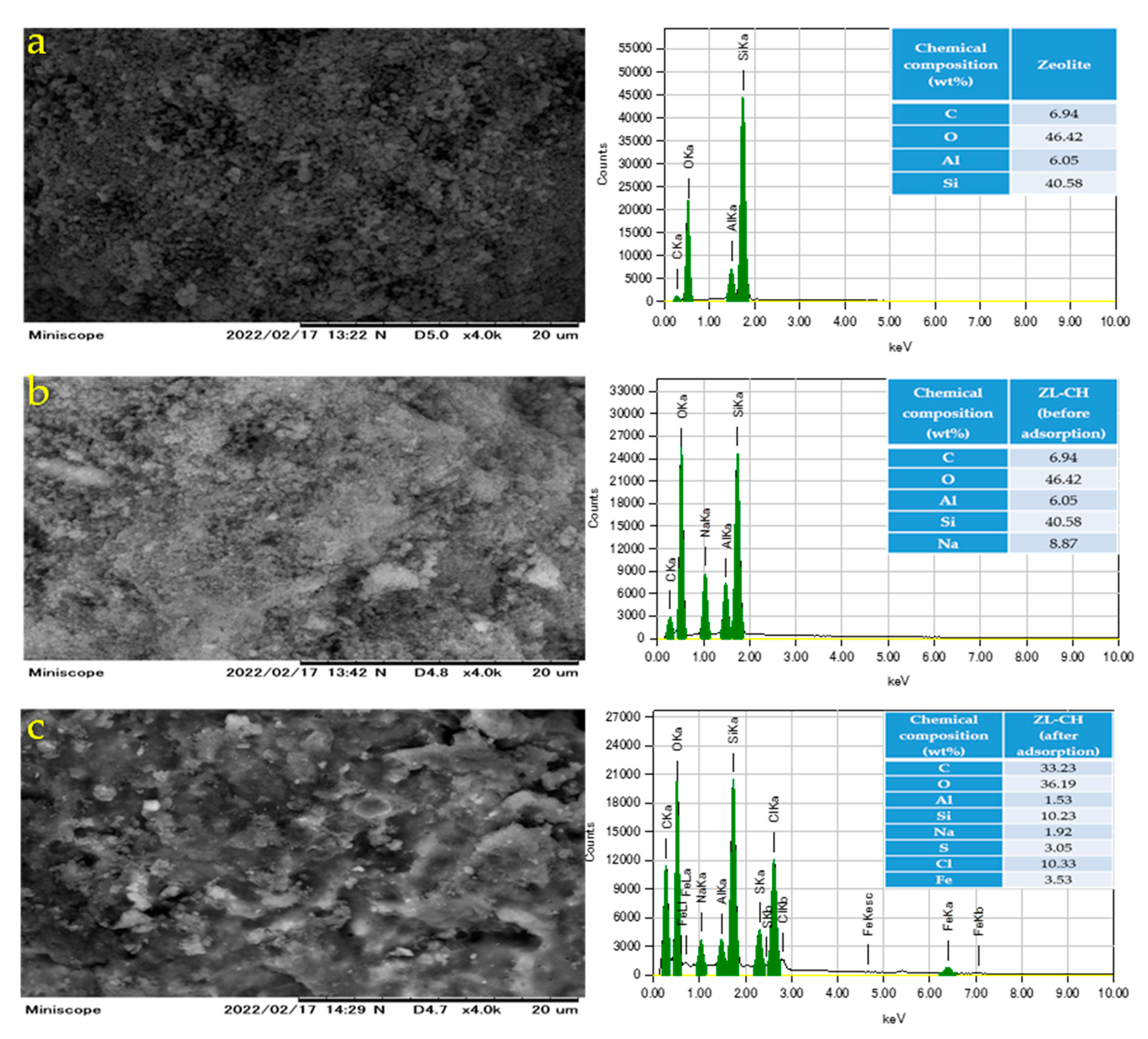 Polymers 14 00893 g001