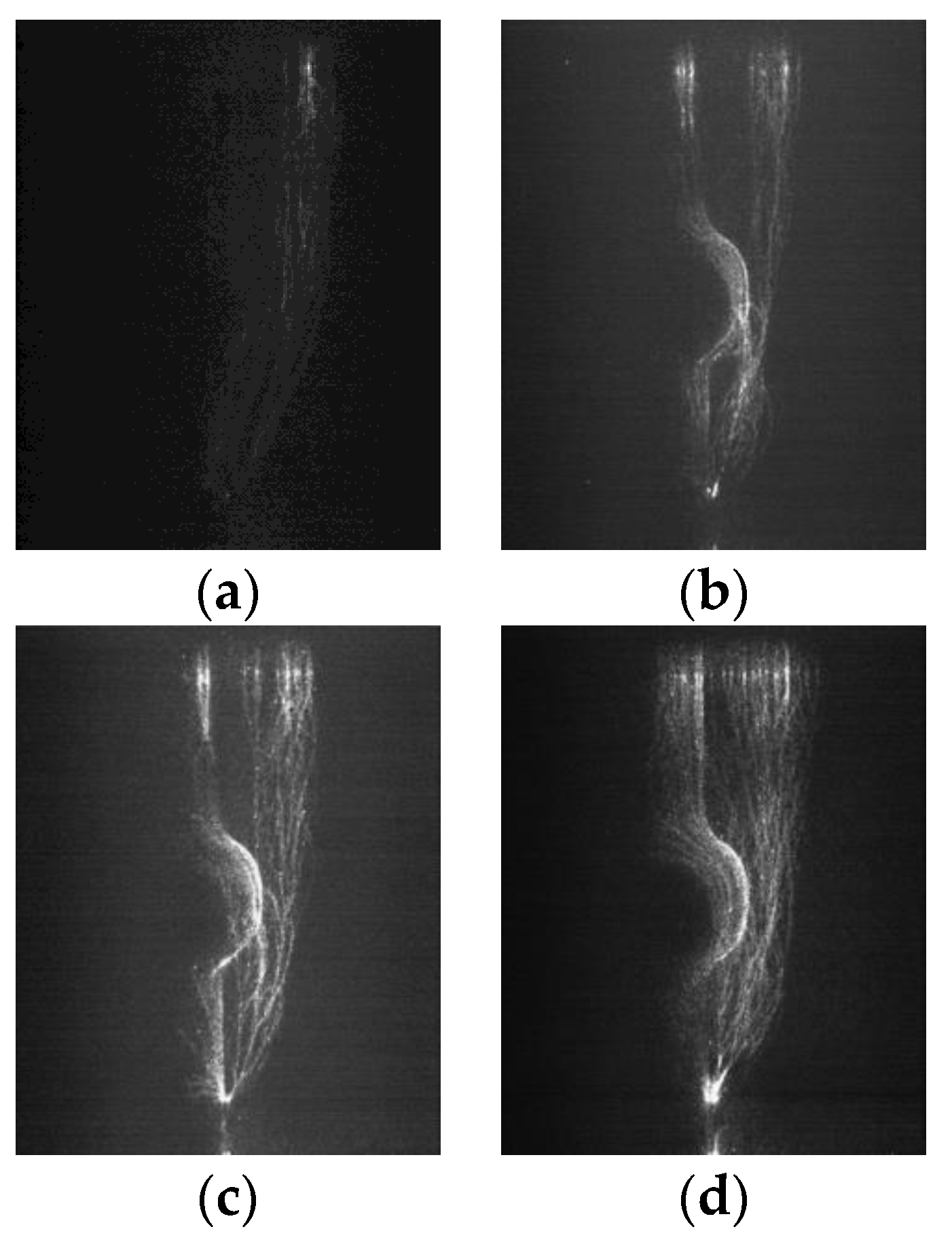 Polymers 14 00897 g008