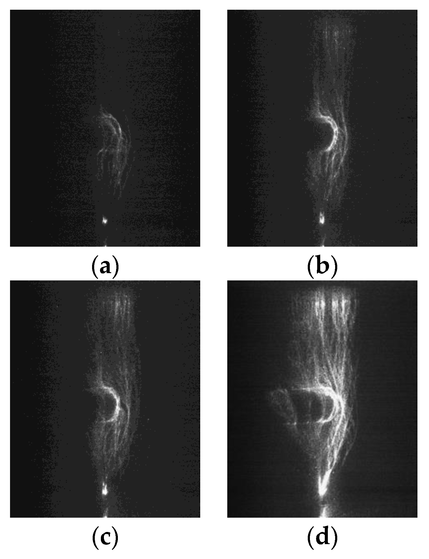 Polymers 14 00897 g009