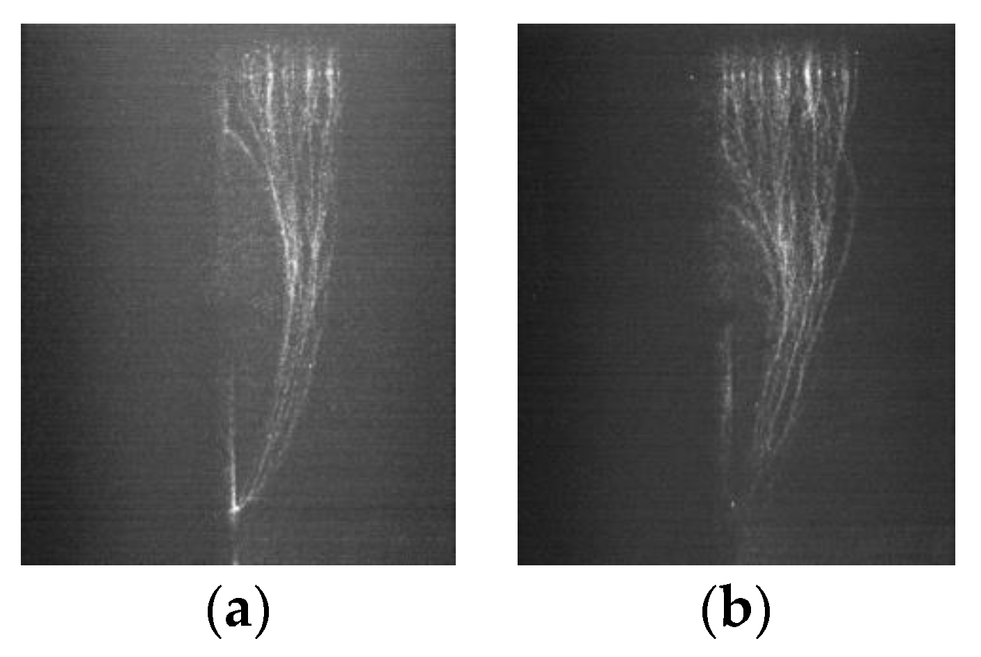 Polymers 14 00897 g010a