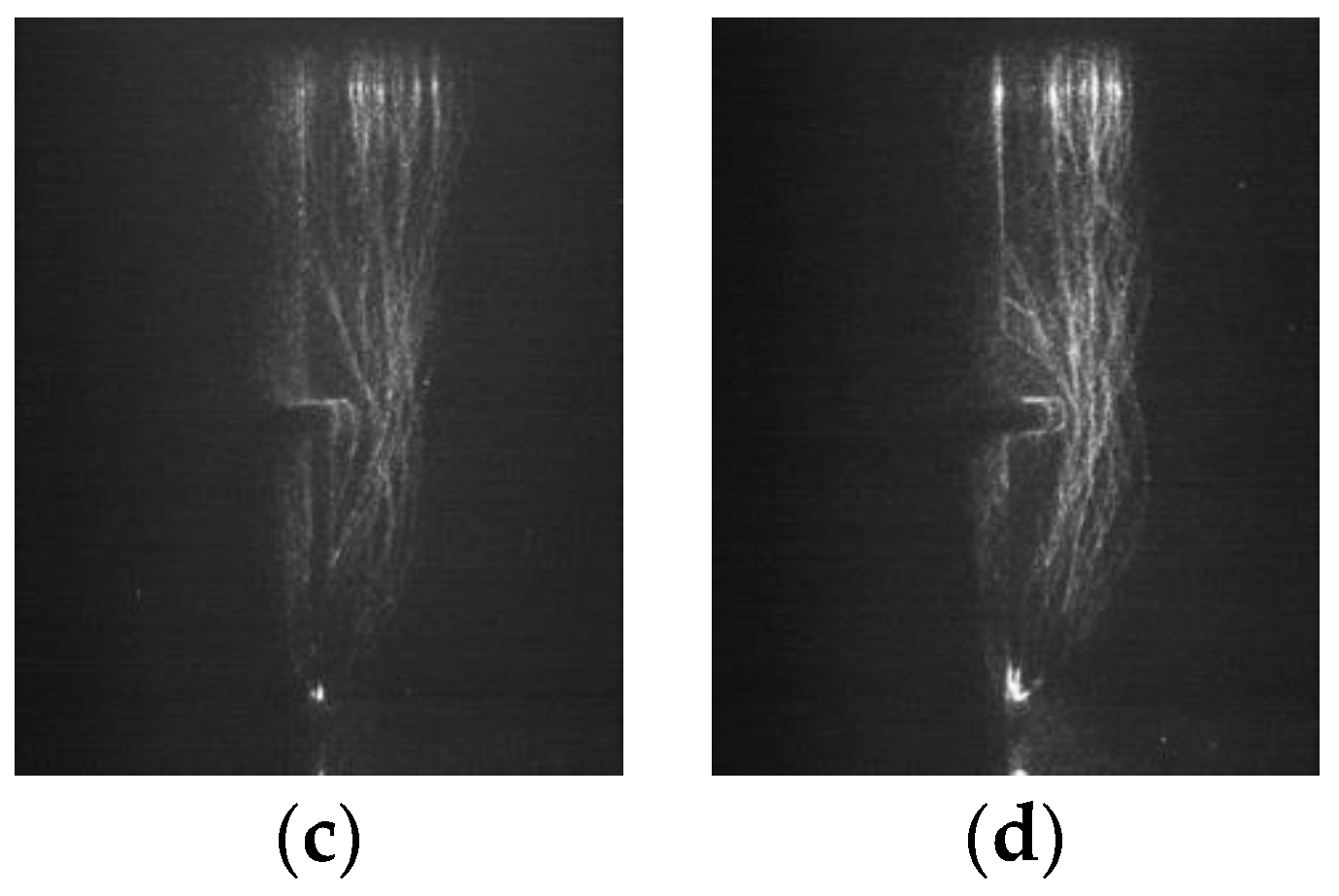 Polymers 14 00897 g010b