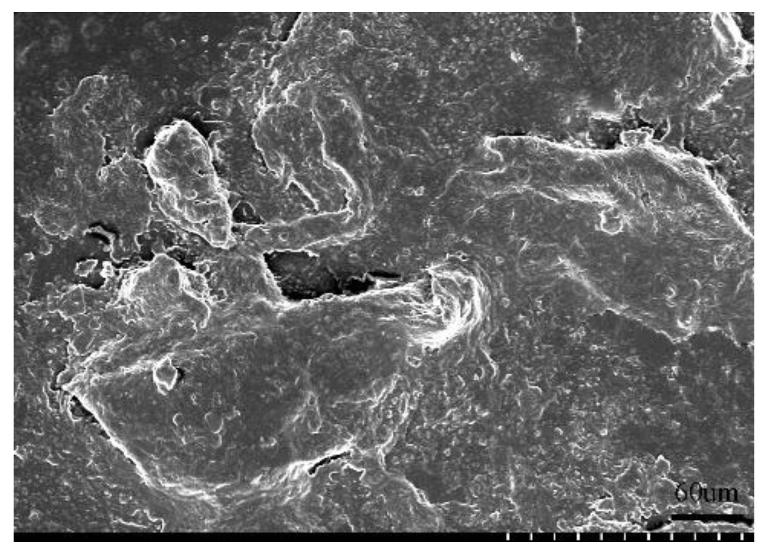 Polymers 14 00897 g017
